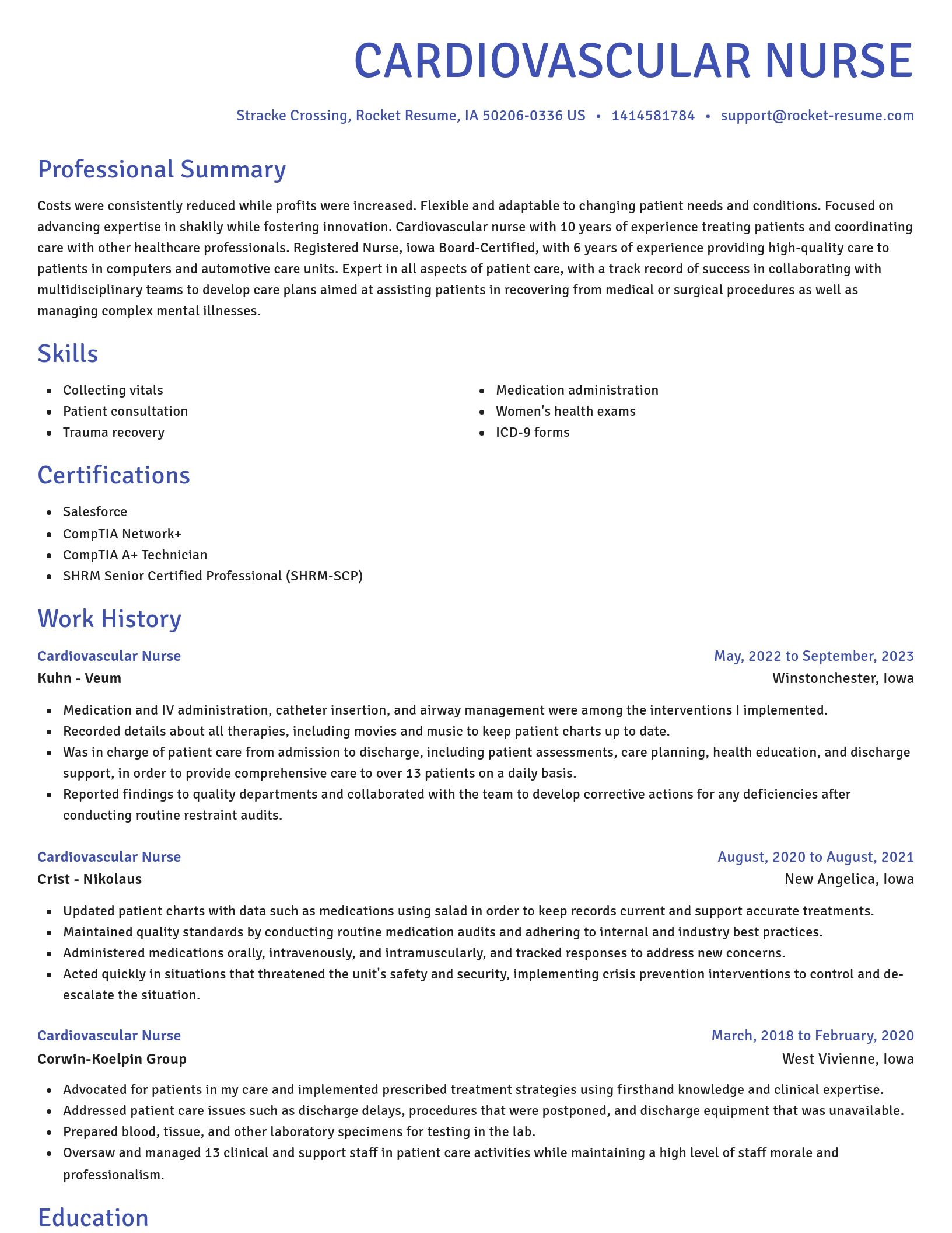 Novel resume template