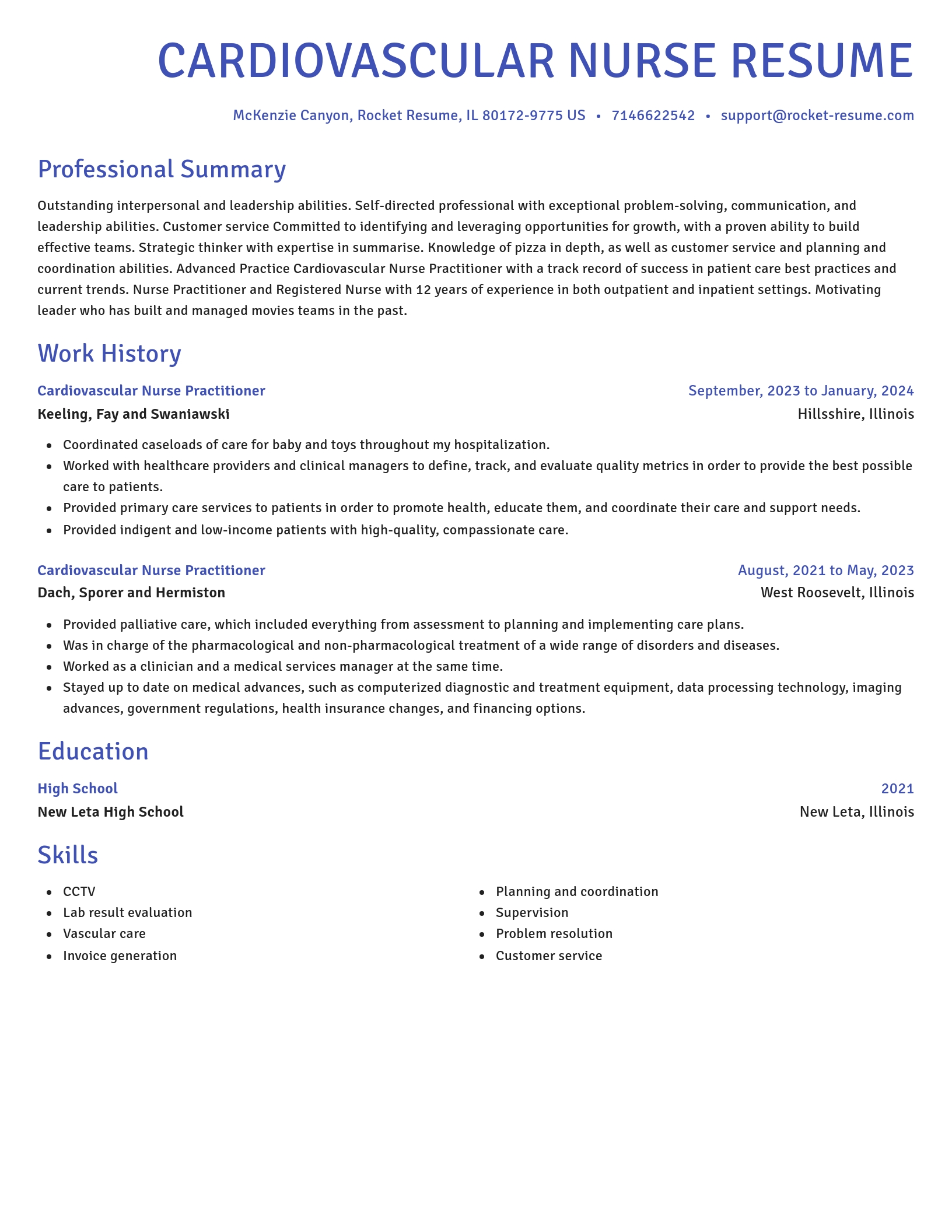 Novel resume template