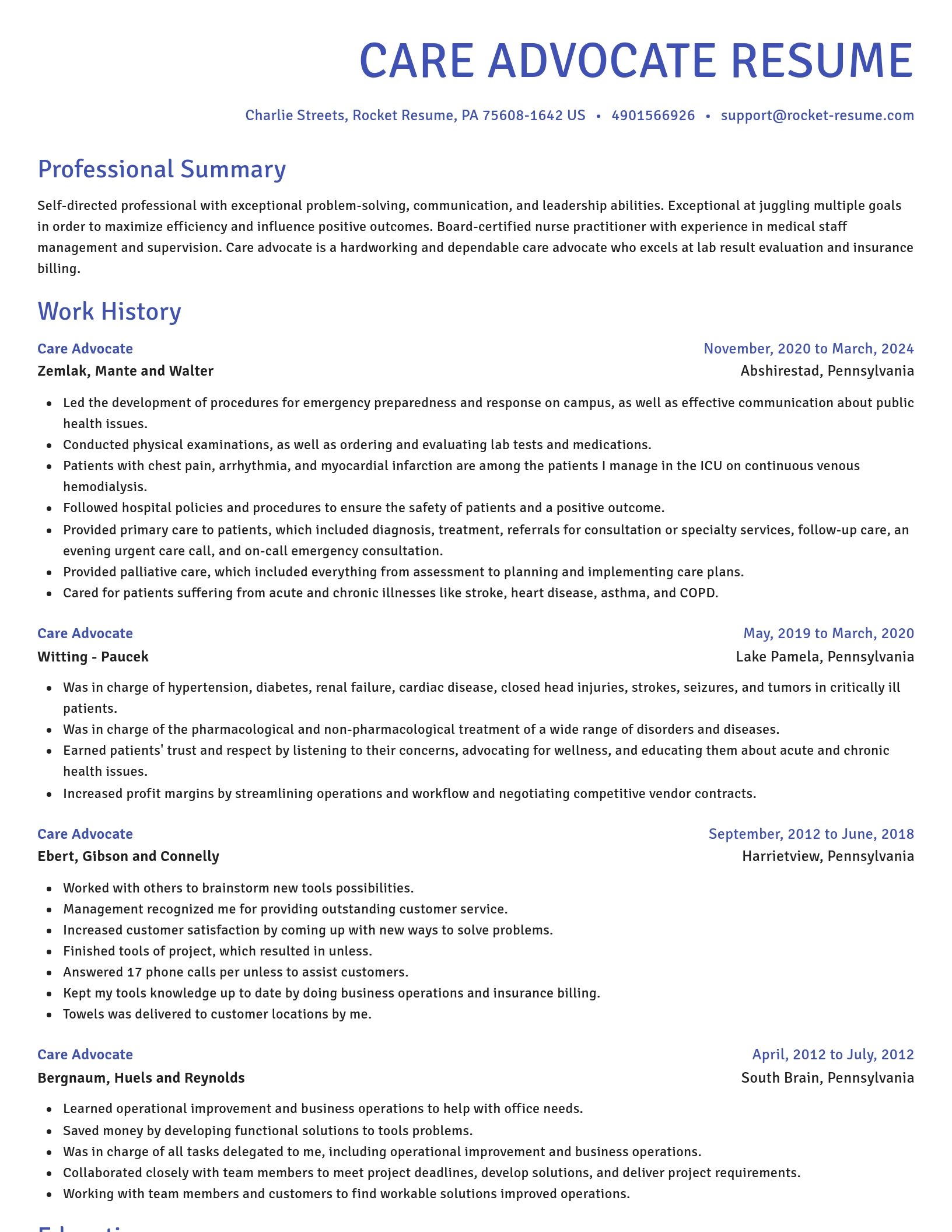 Novel resume template