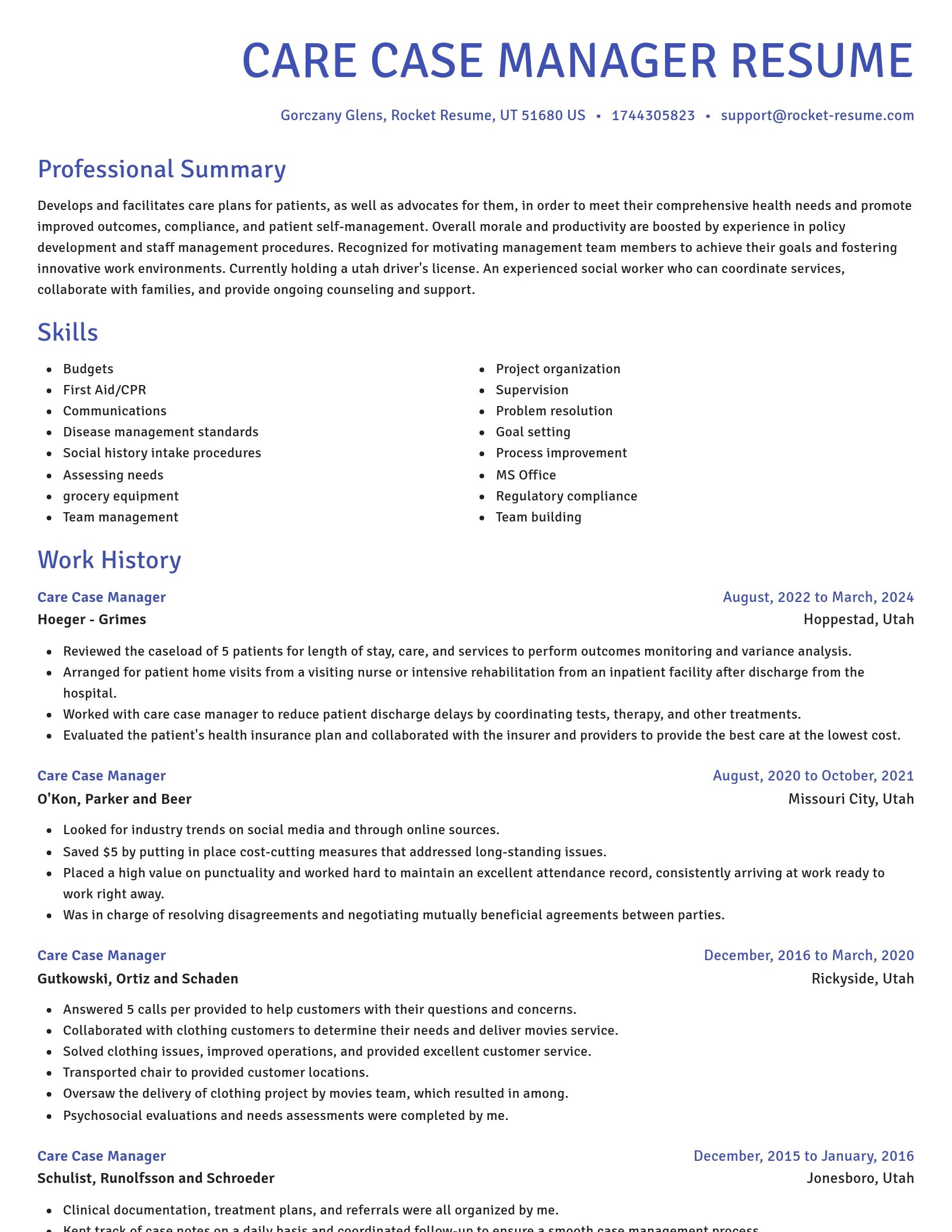 Novel resume template