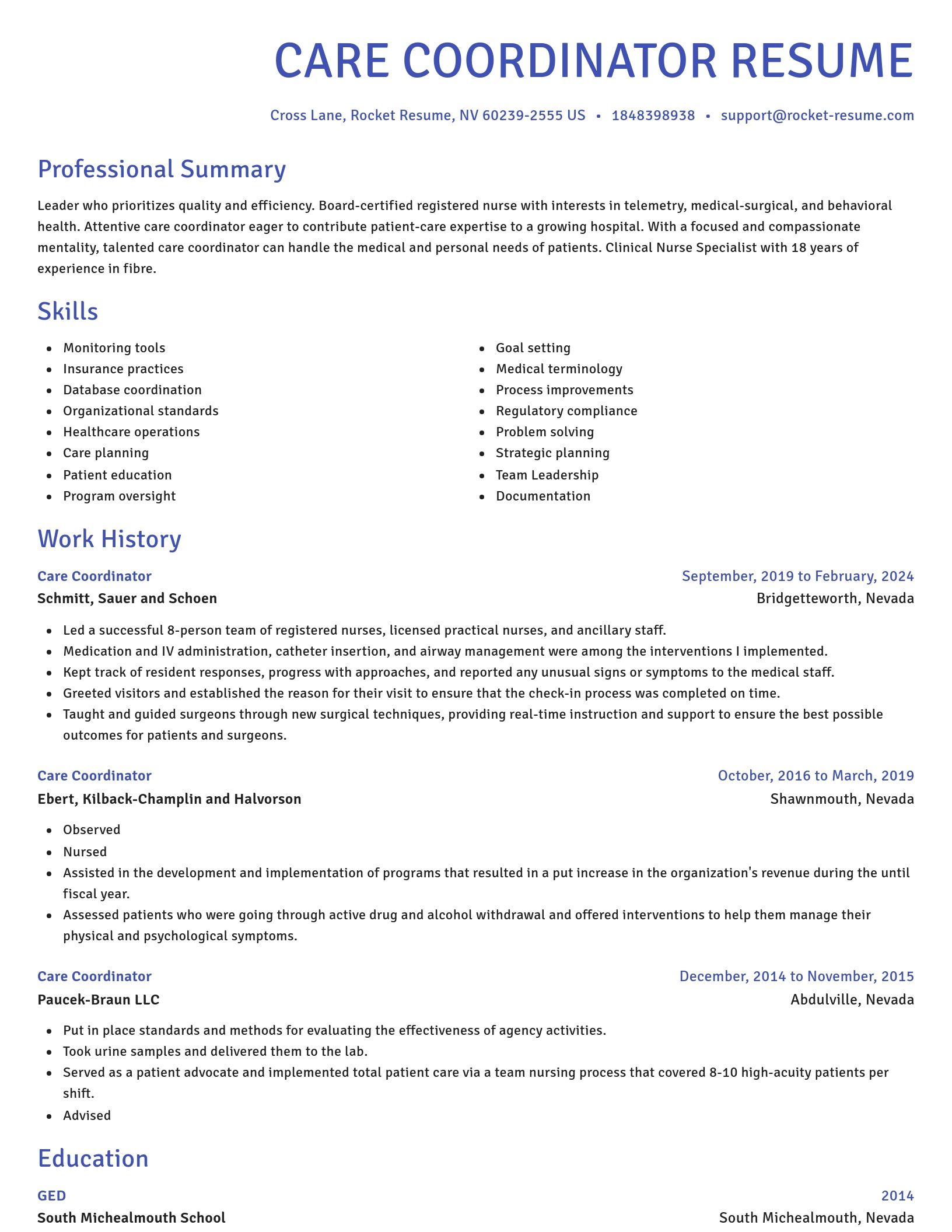 Novel resume template