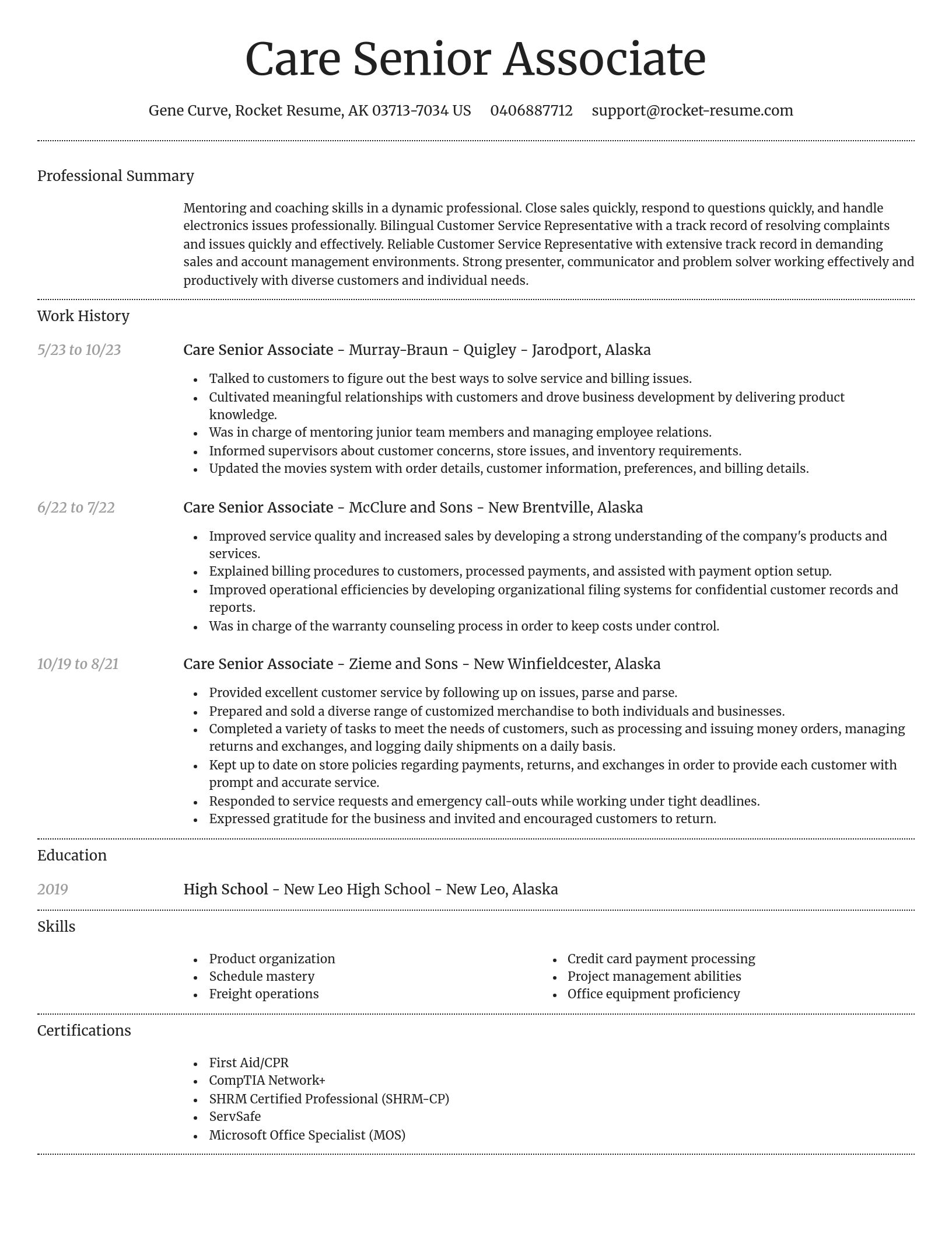 Dignified resume template