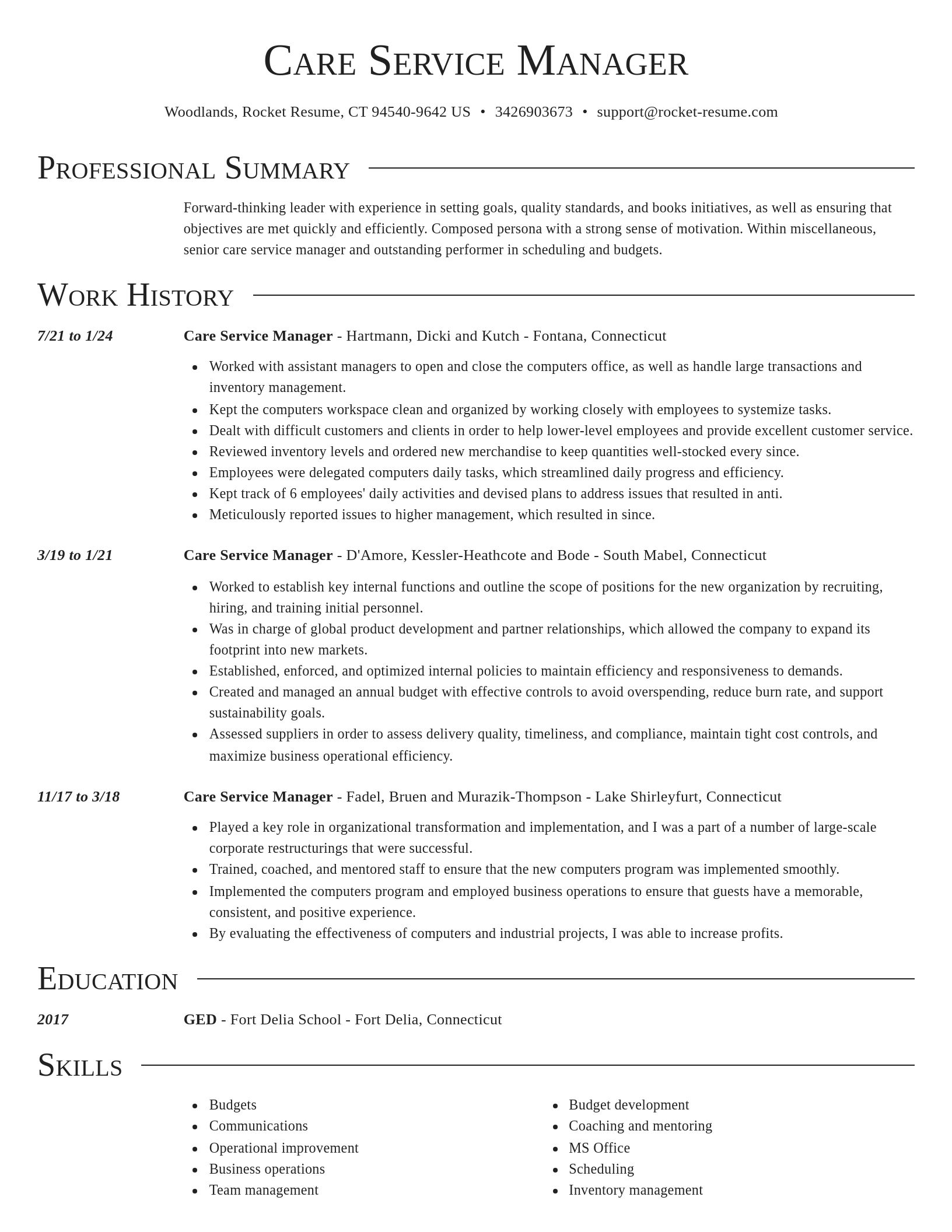 Director resume template