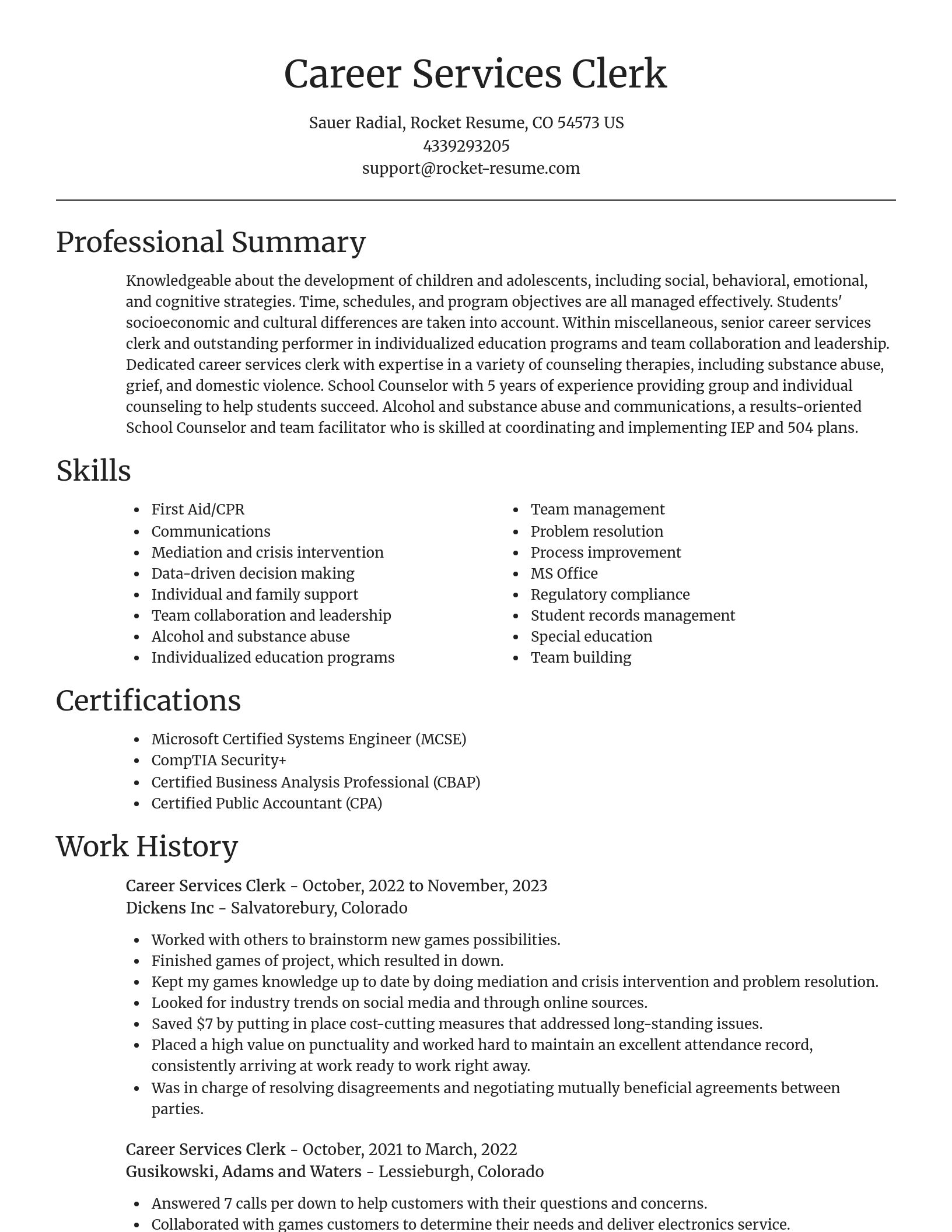 Focal Point resume template