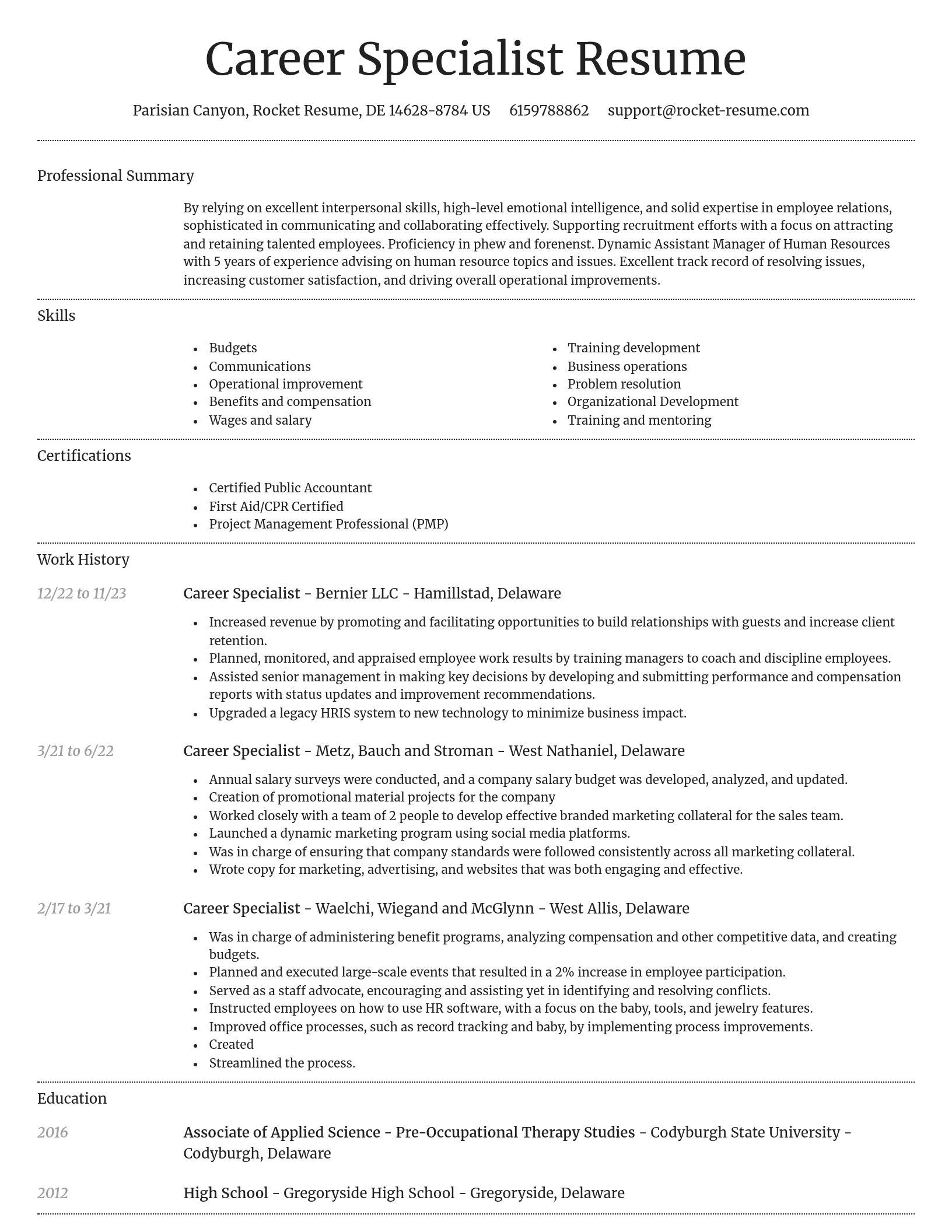Dignified resume template