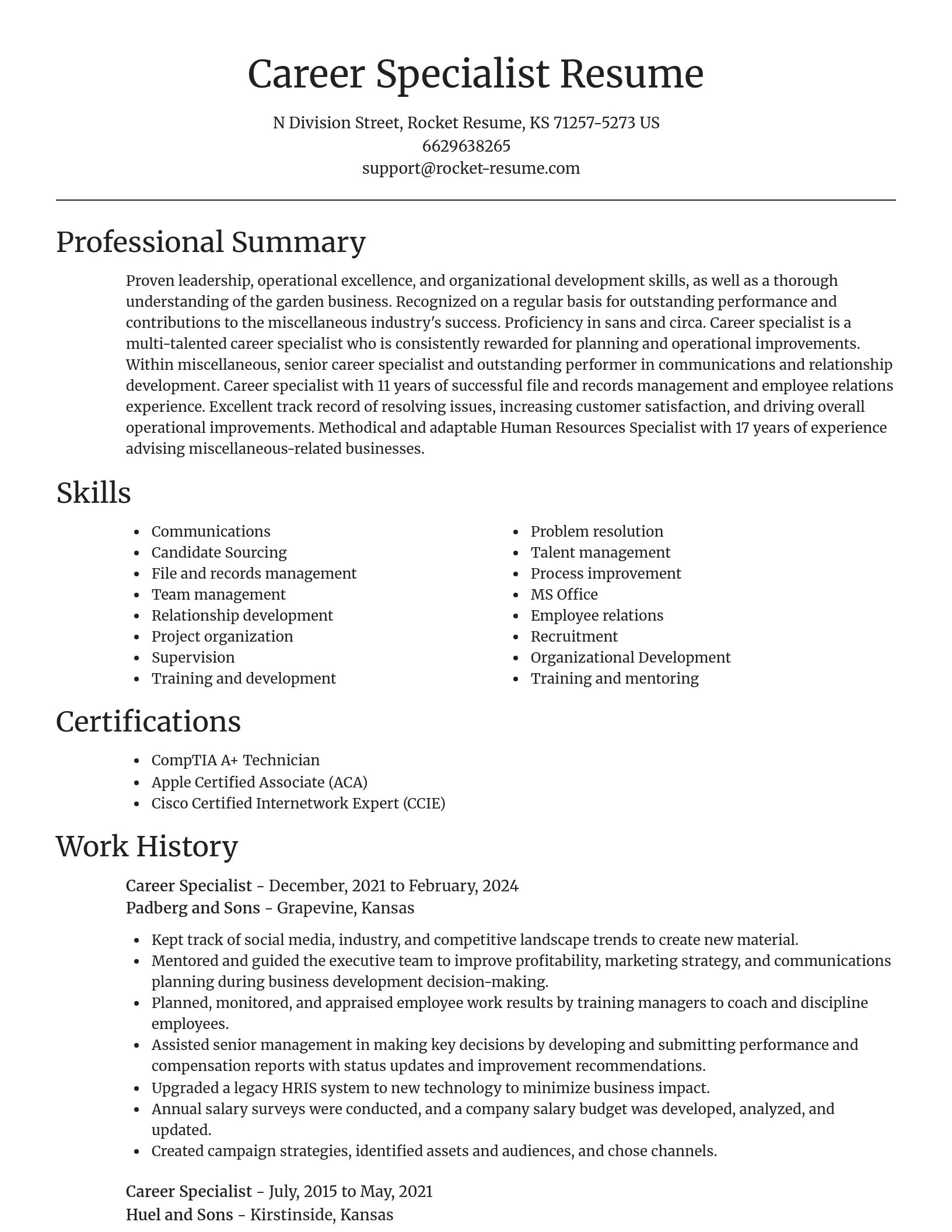 Focal Point resume template