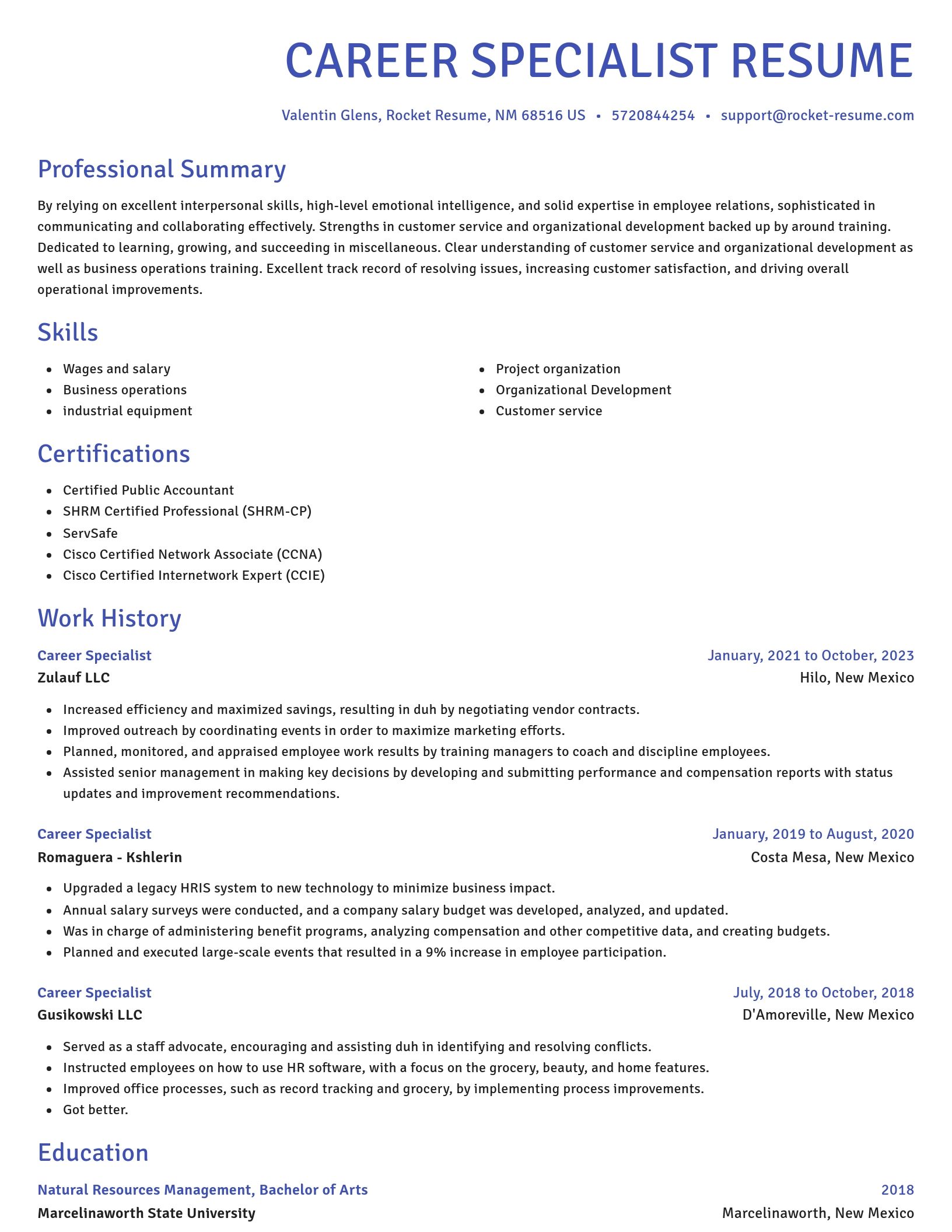 Novel resume template