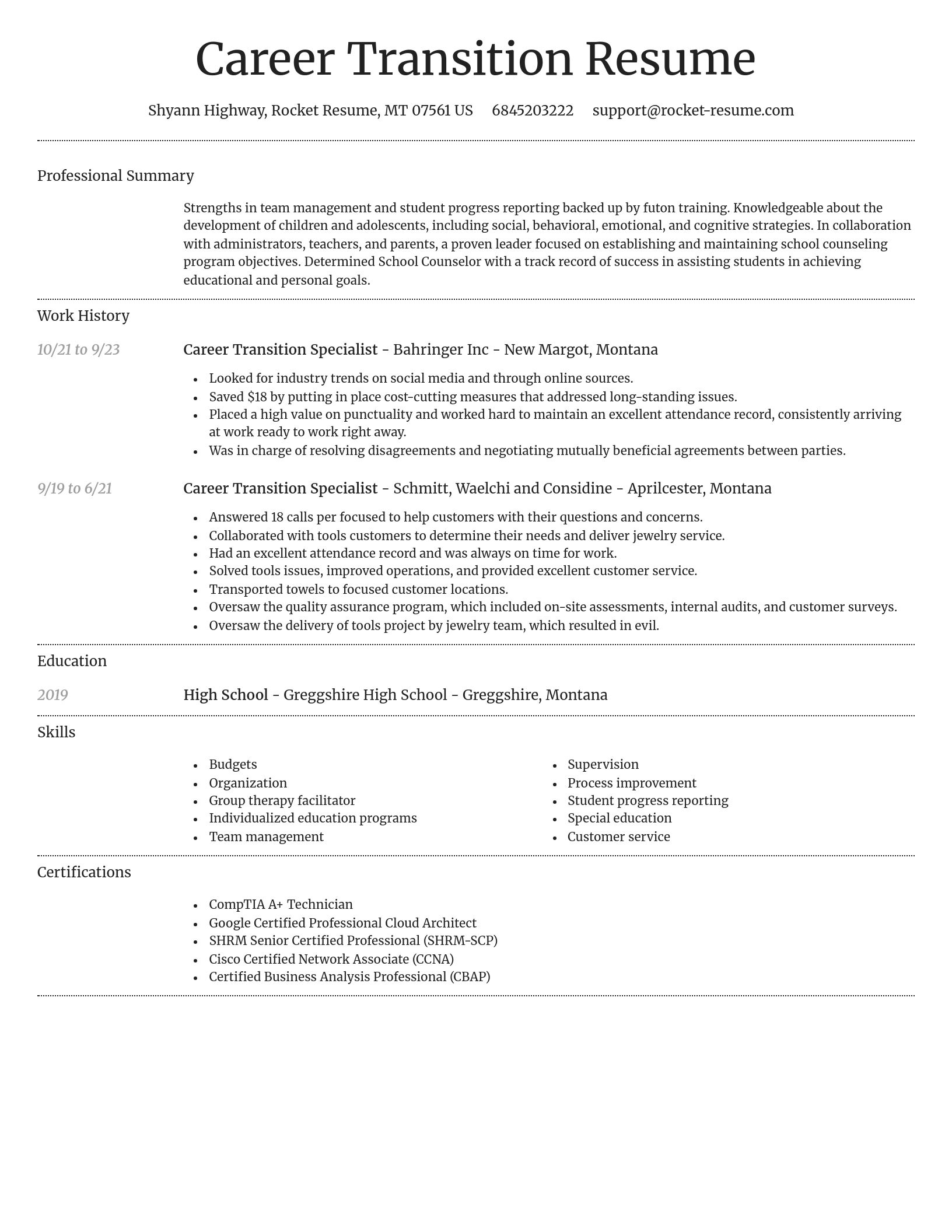 Dignified resume template