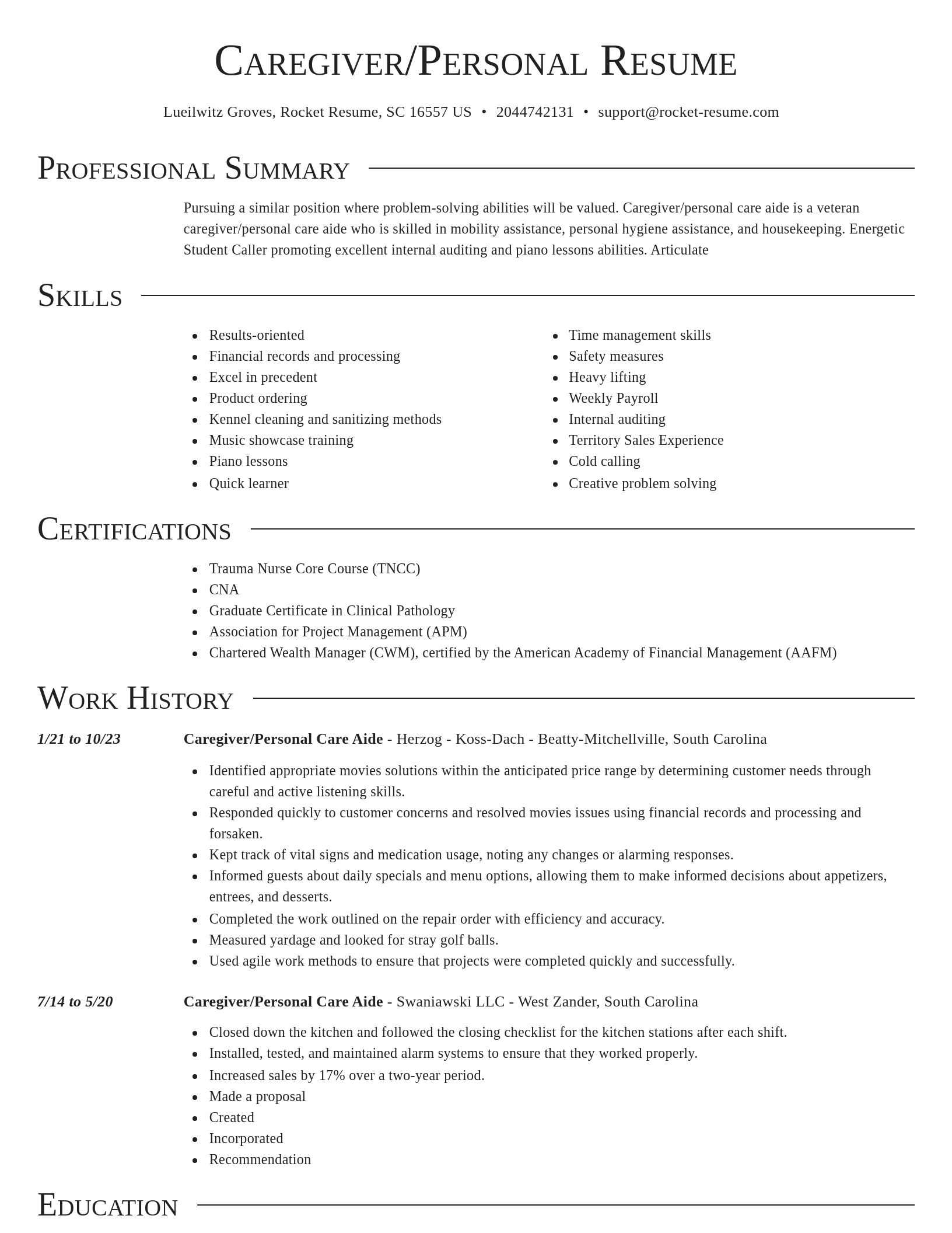 Director resume template