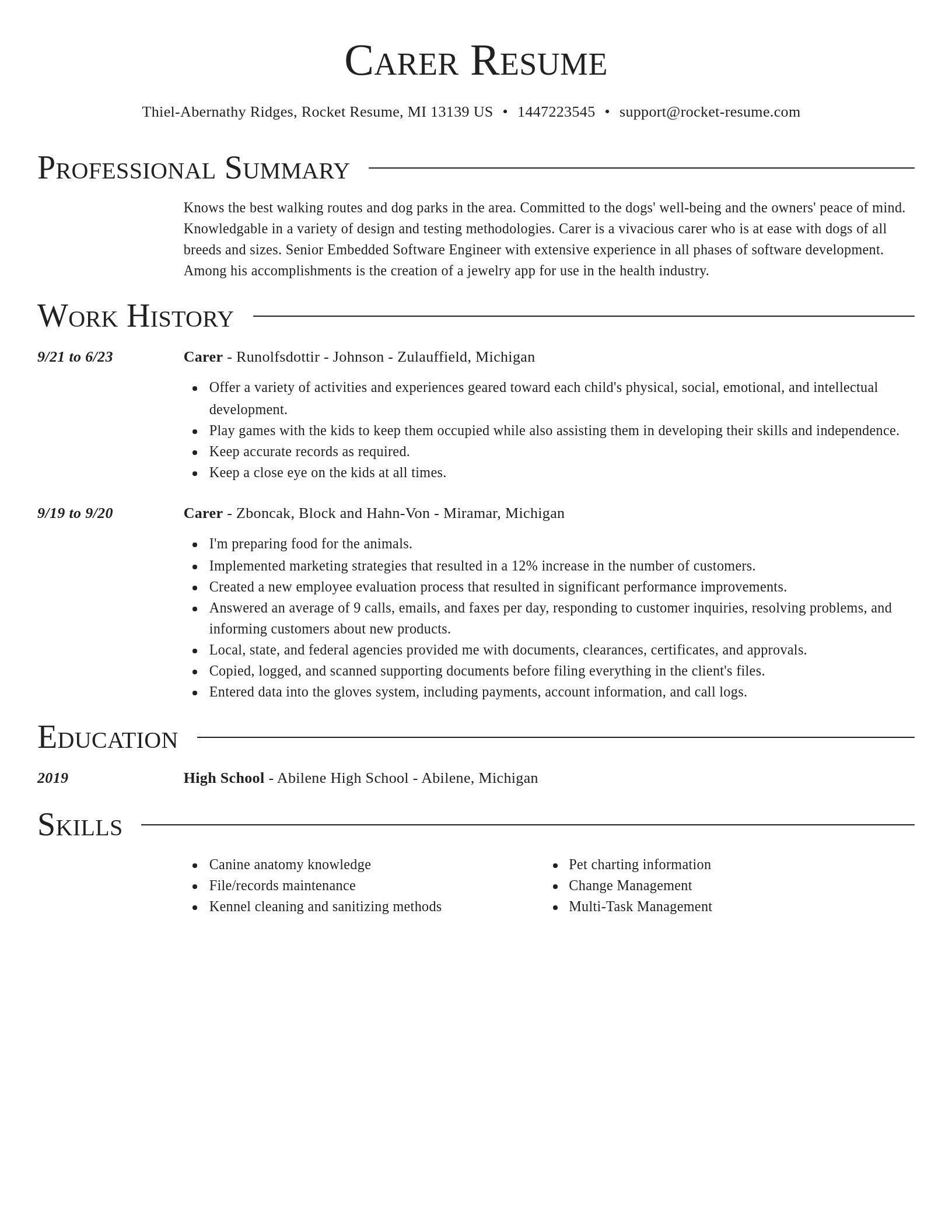Director resume template