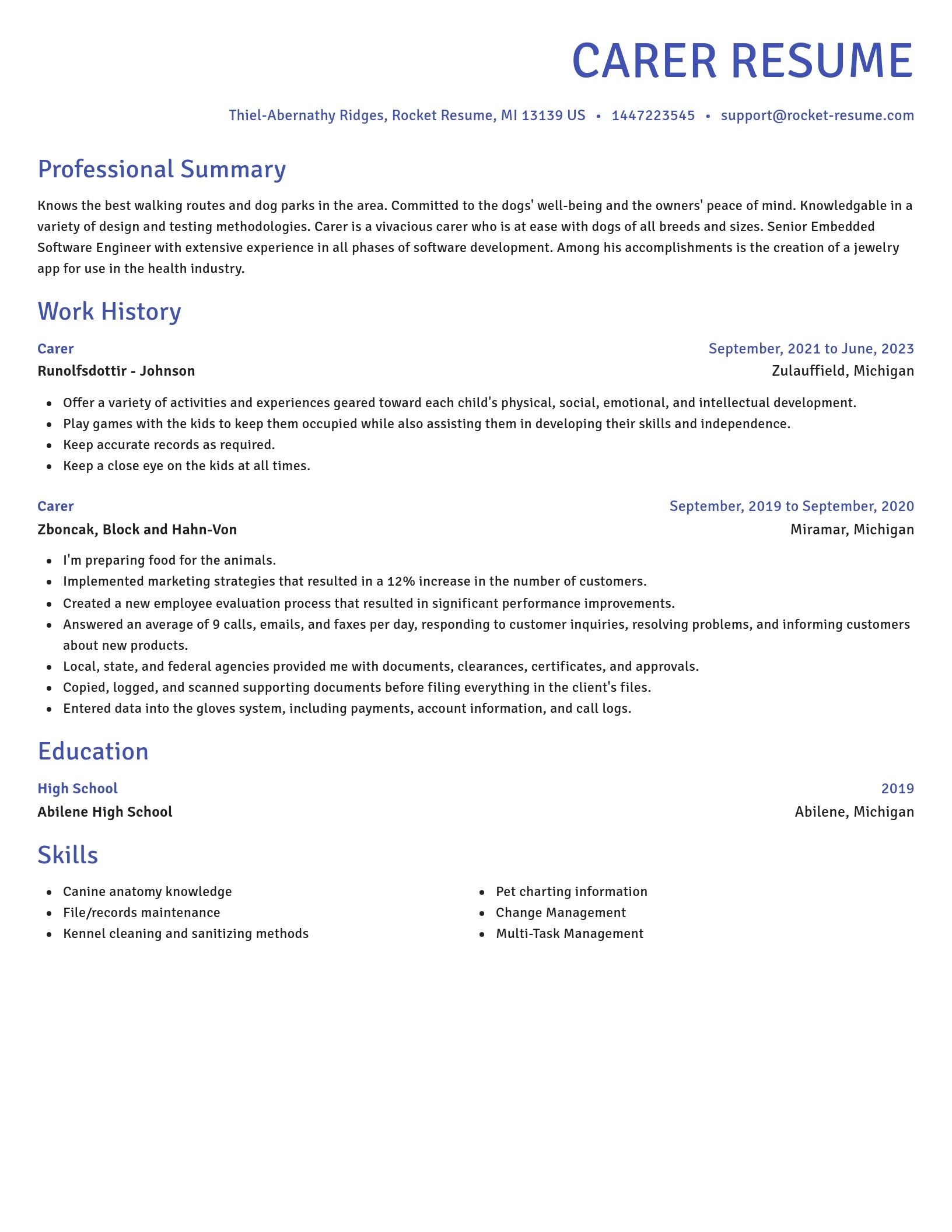 Novel resume template