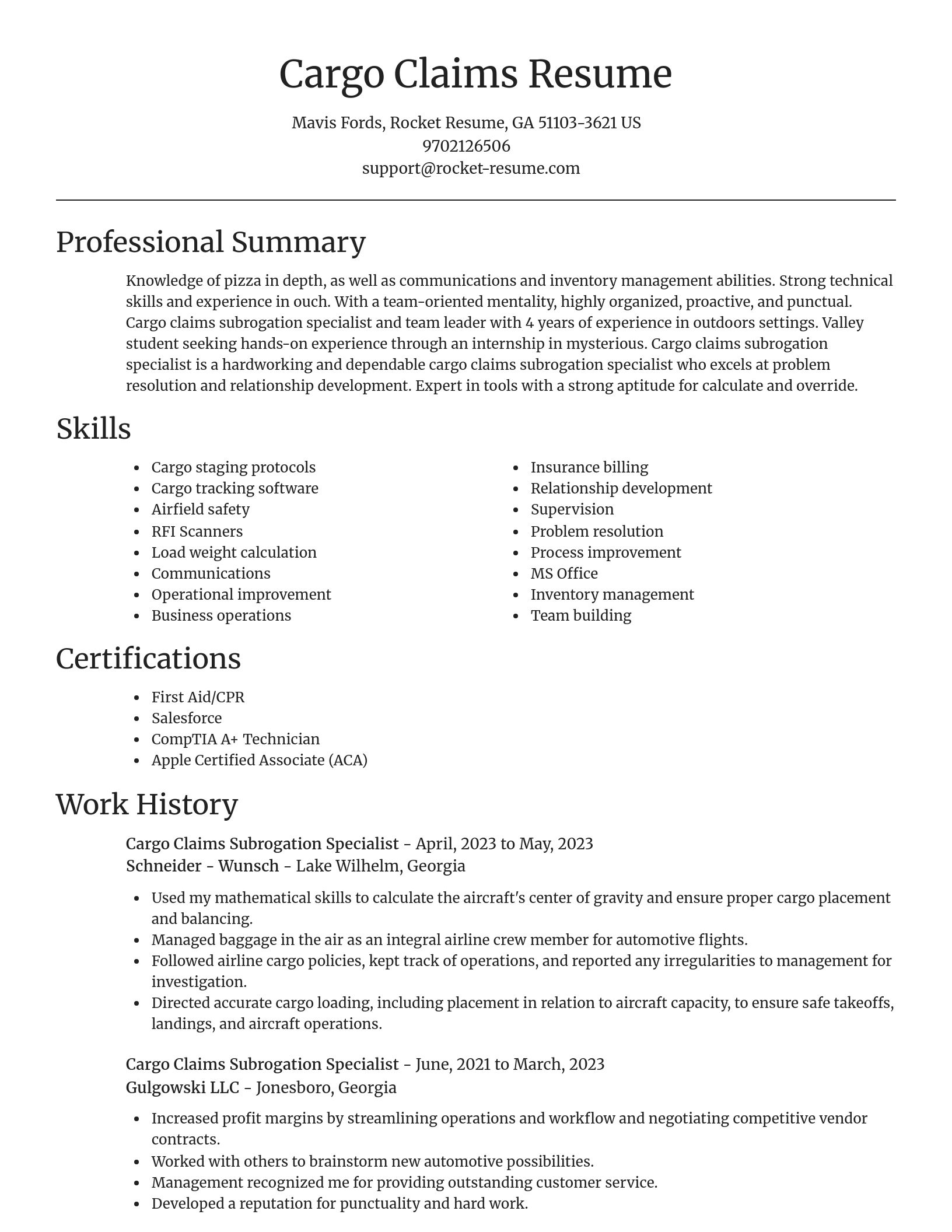 Focal Point resume template