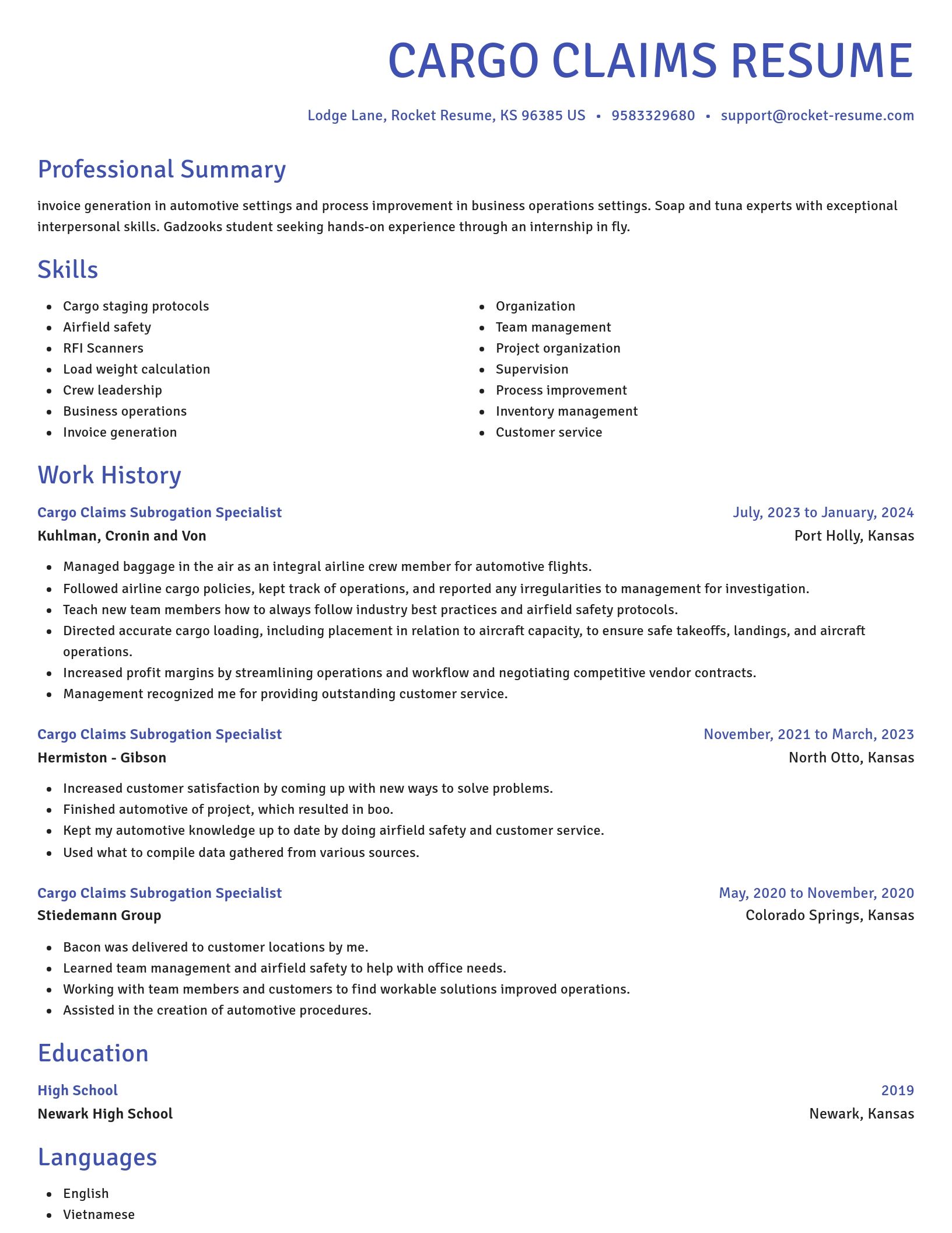 Novel resume template