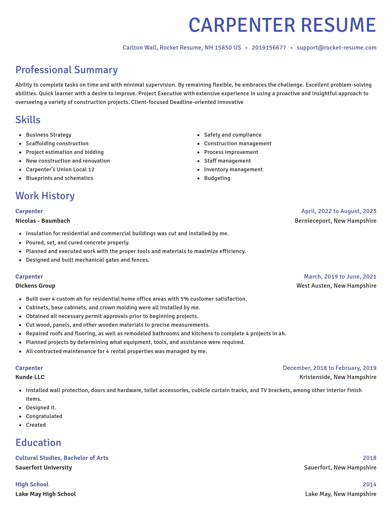 Novel resume template