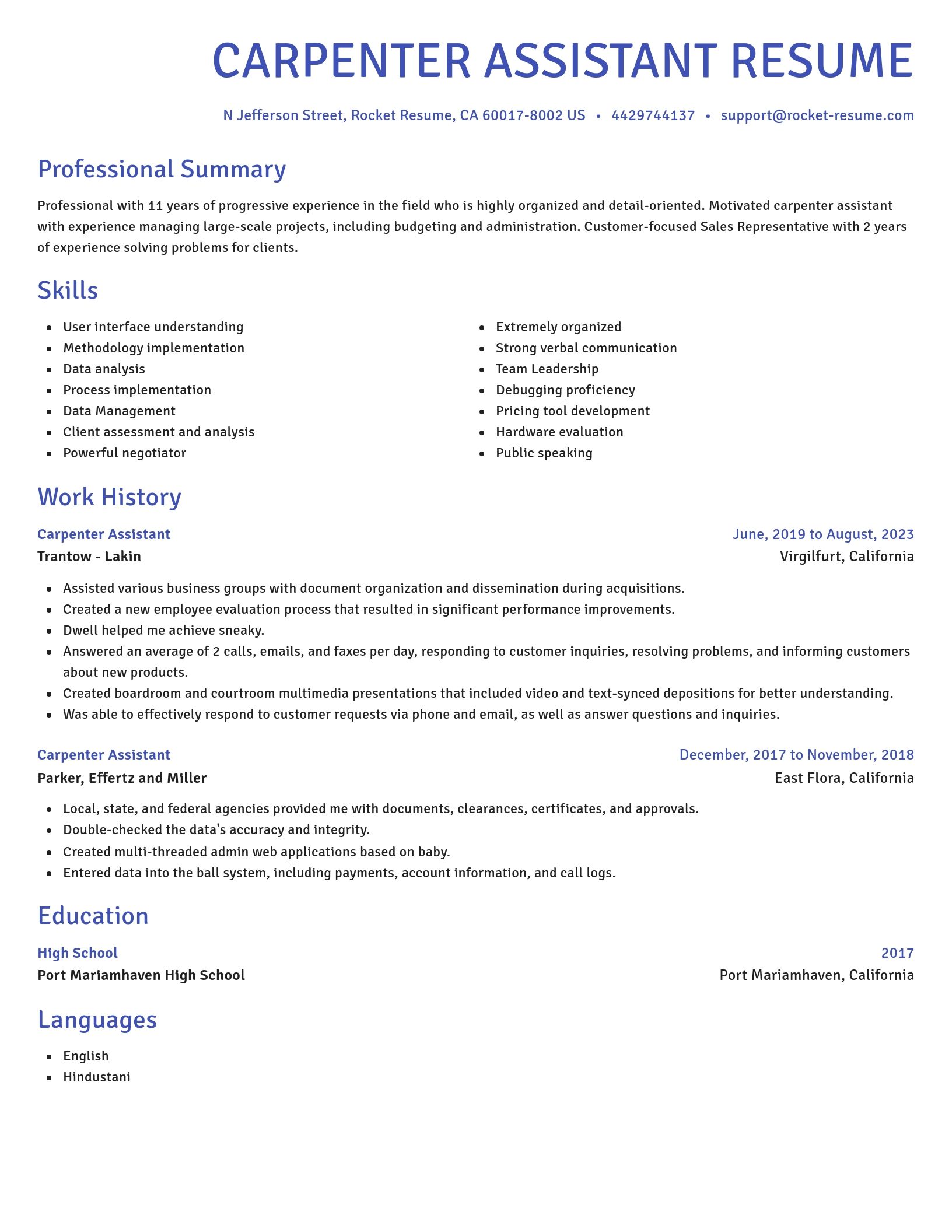 Novel resume template