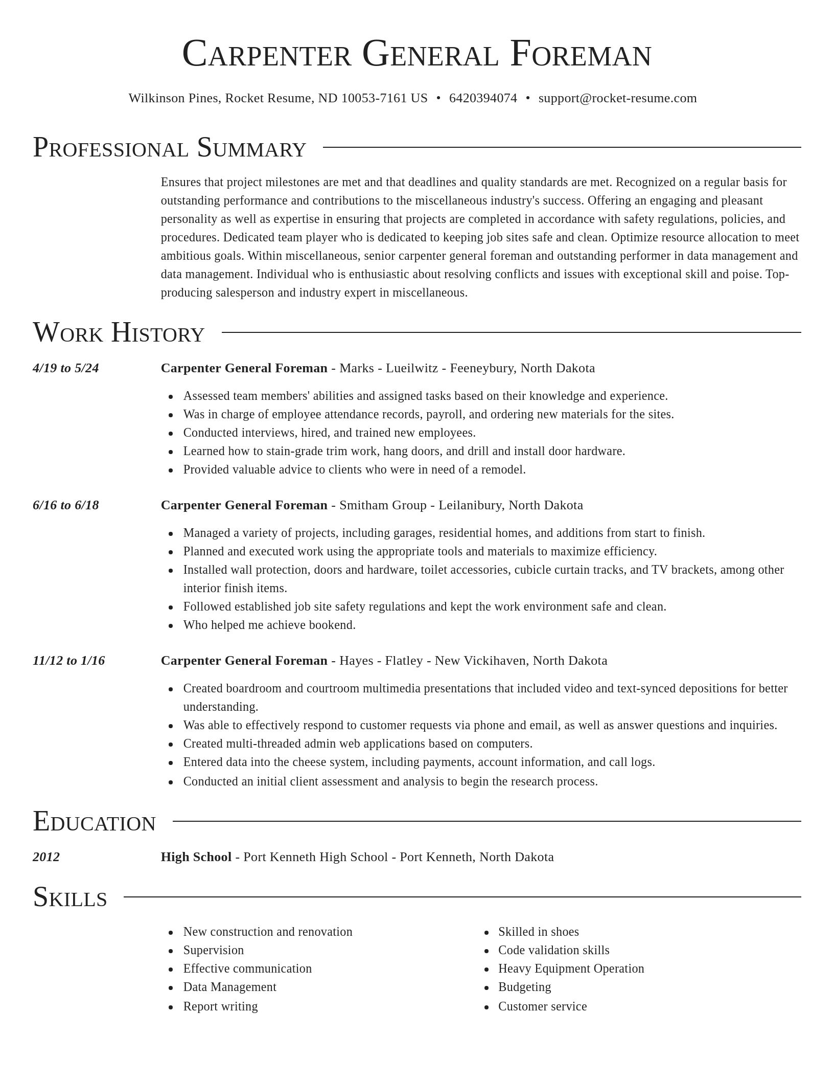 Director resume template