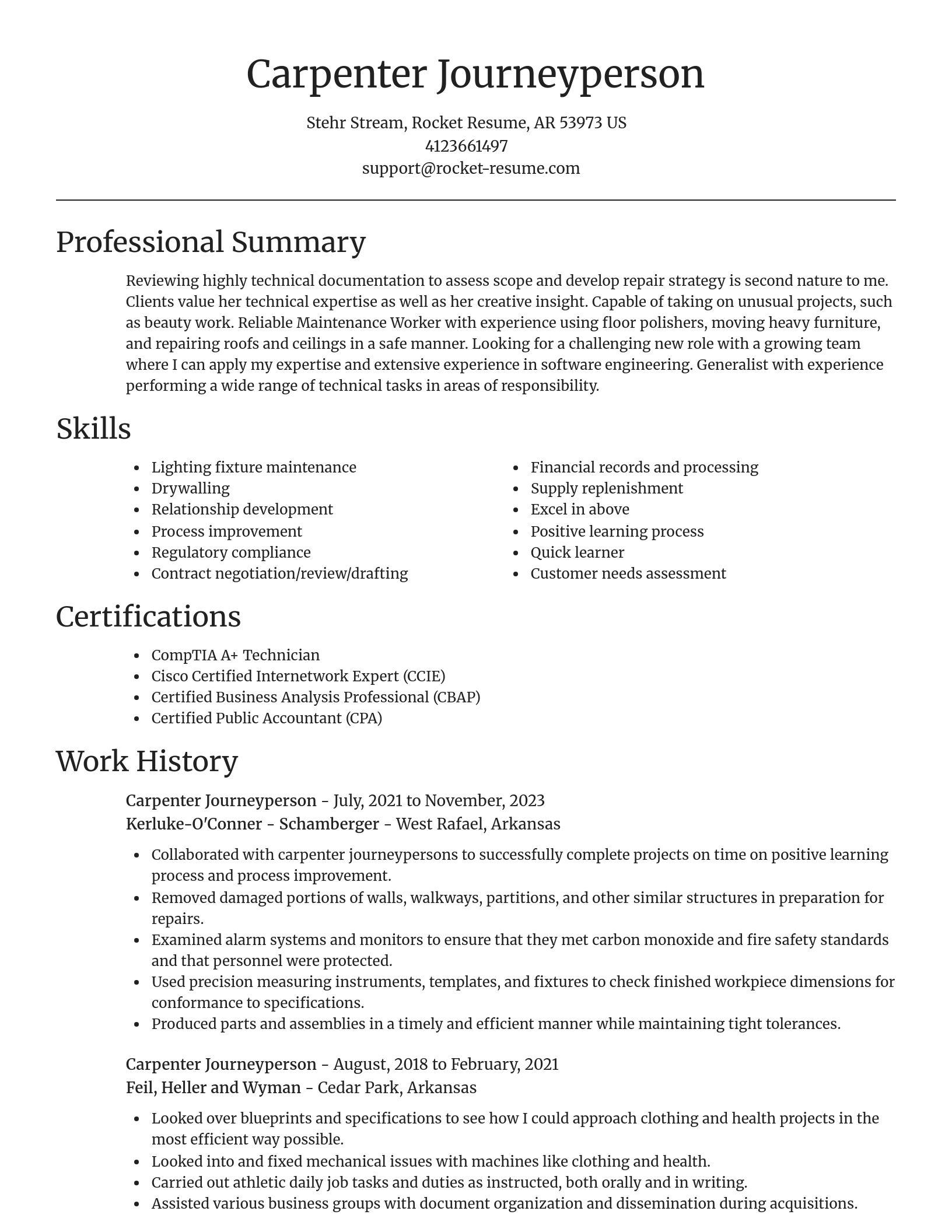 Focal Point resume template