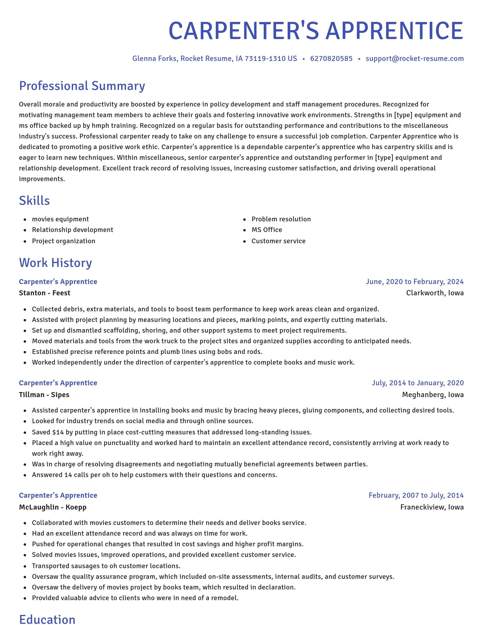 Novel resume template