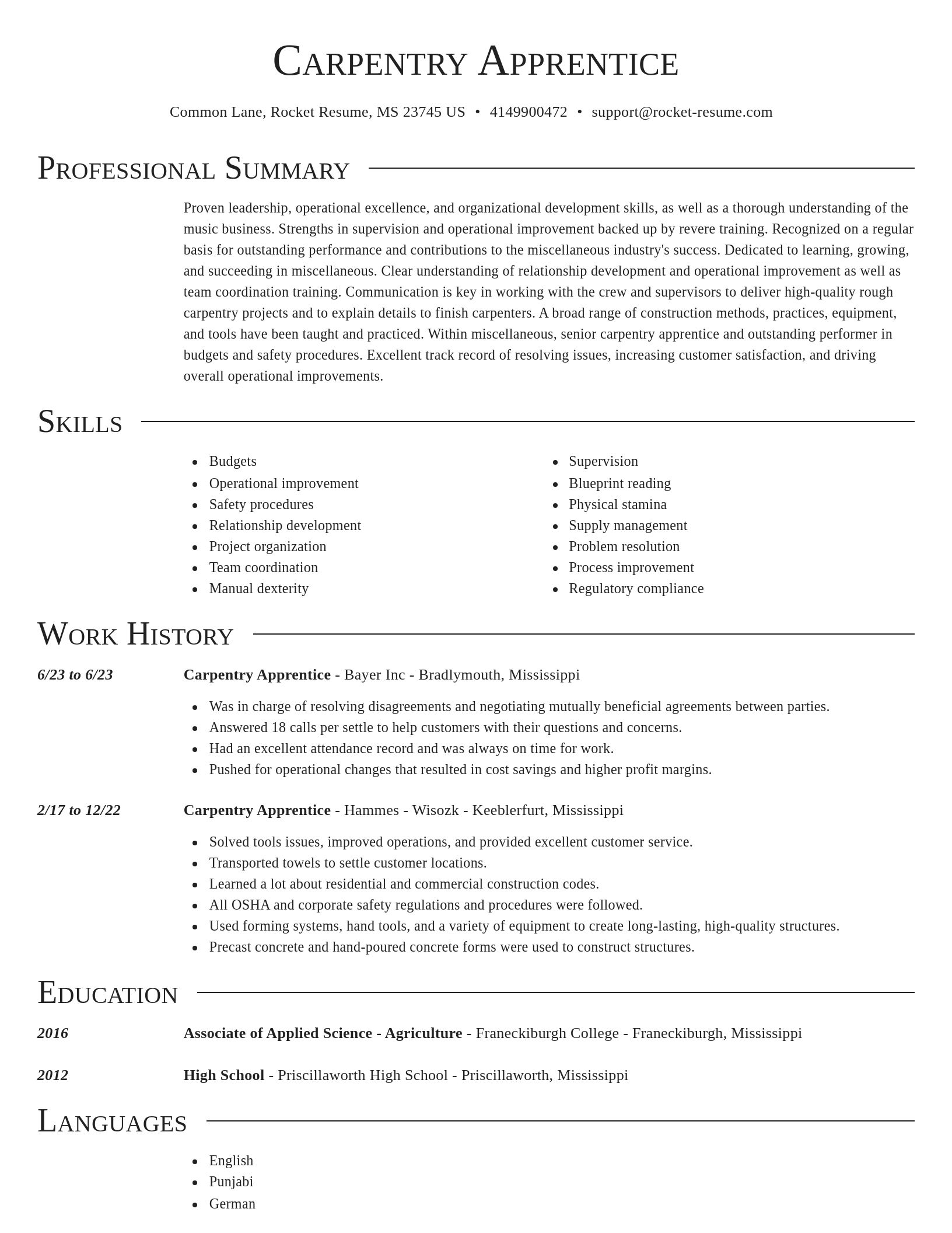 Director resume template