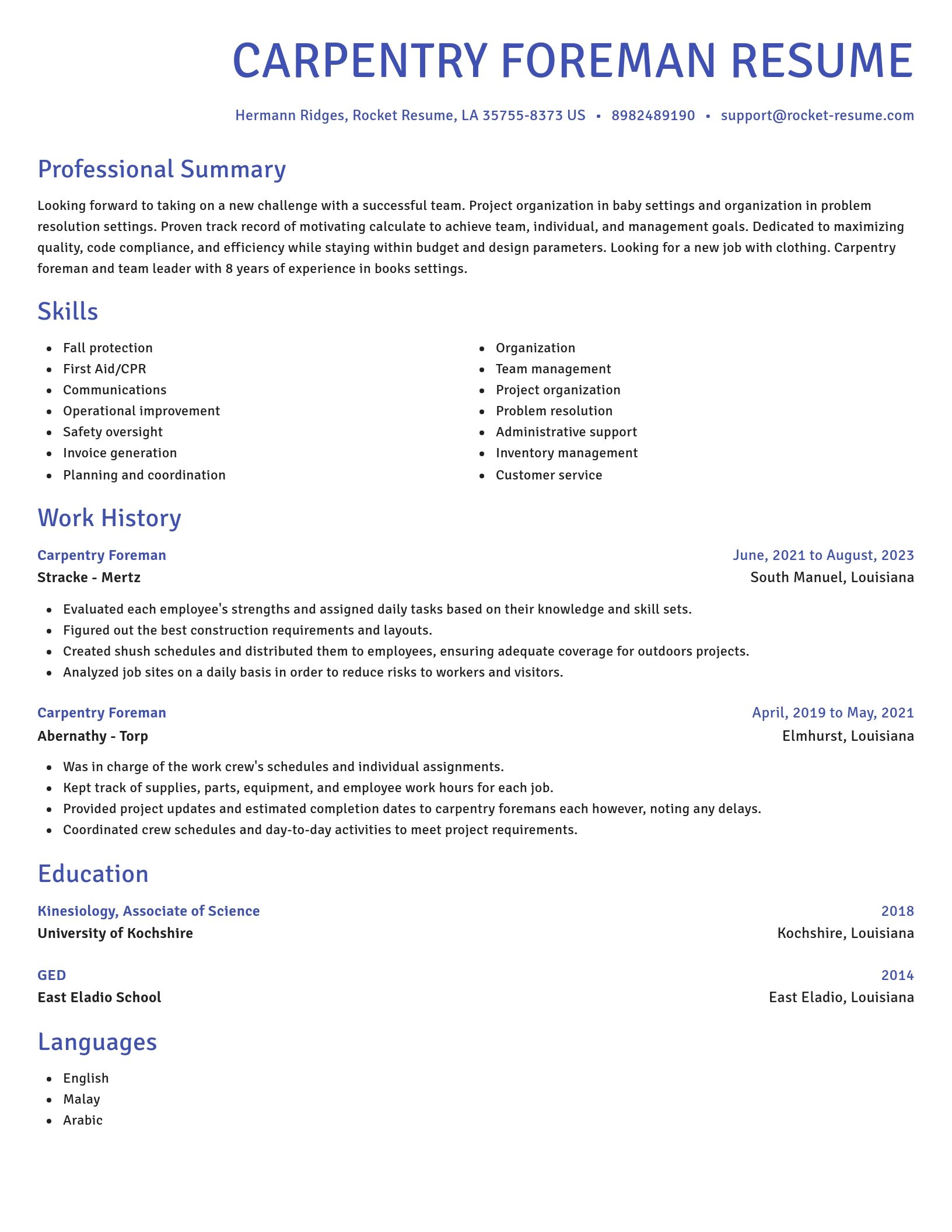 Novel resume template