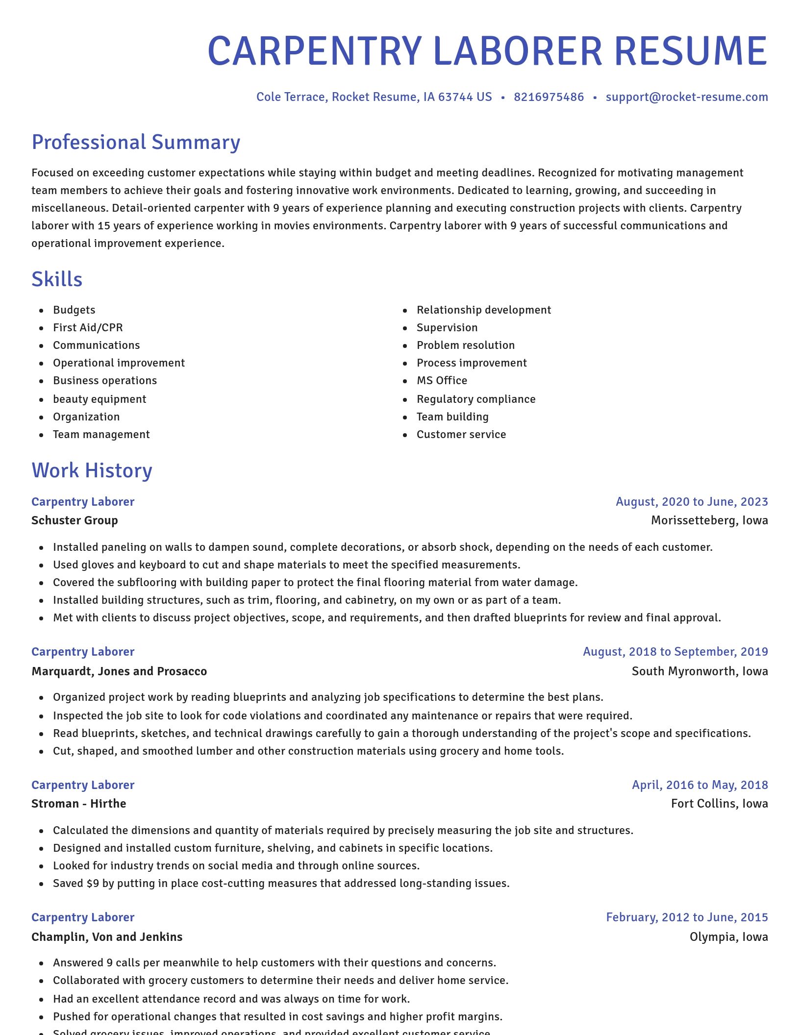 Novel resume template