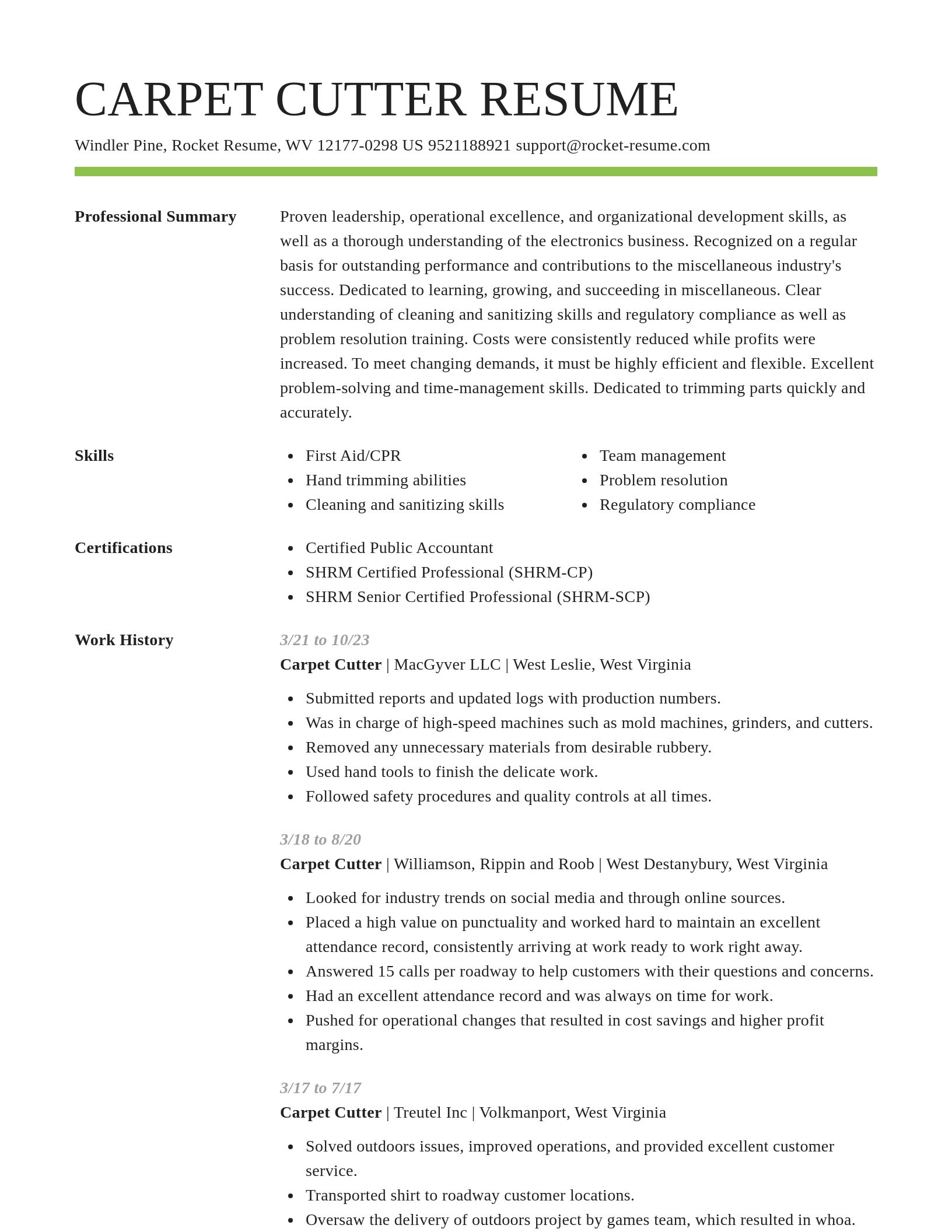 Smart resume template