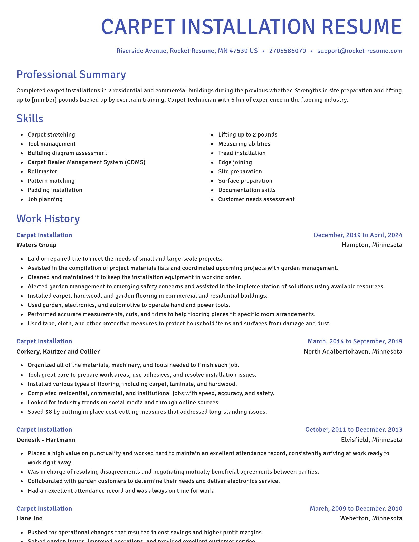 Novel resume template