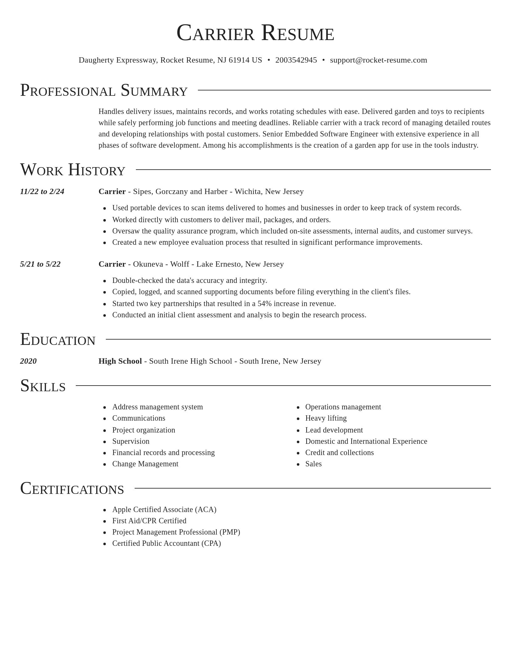 Director resume template