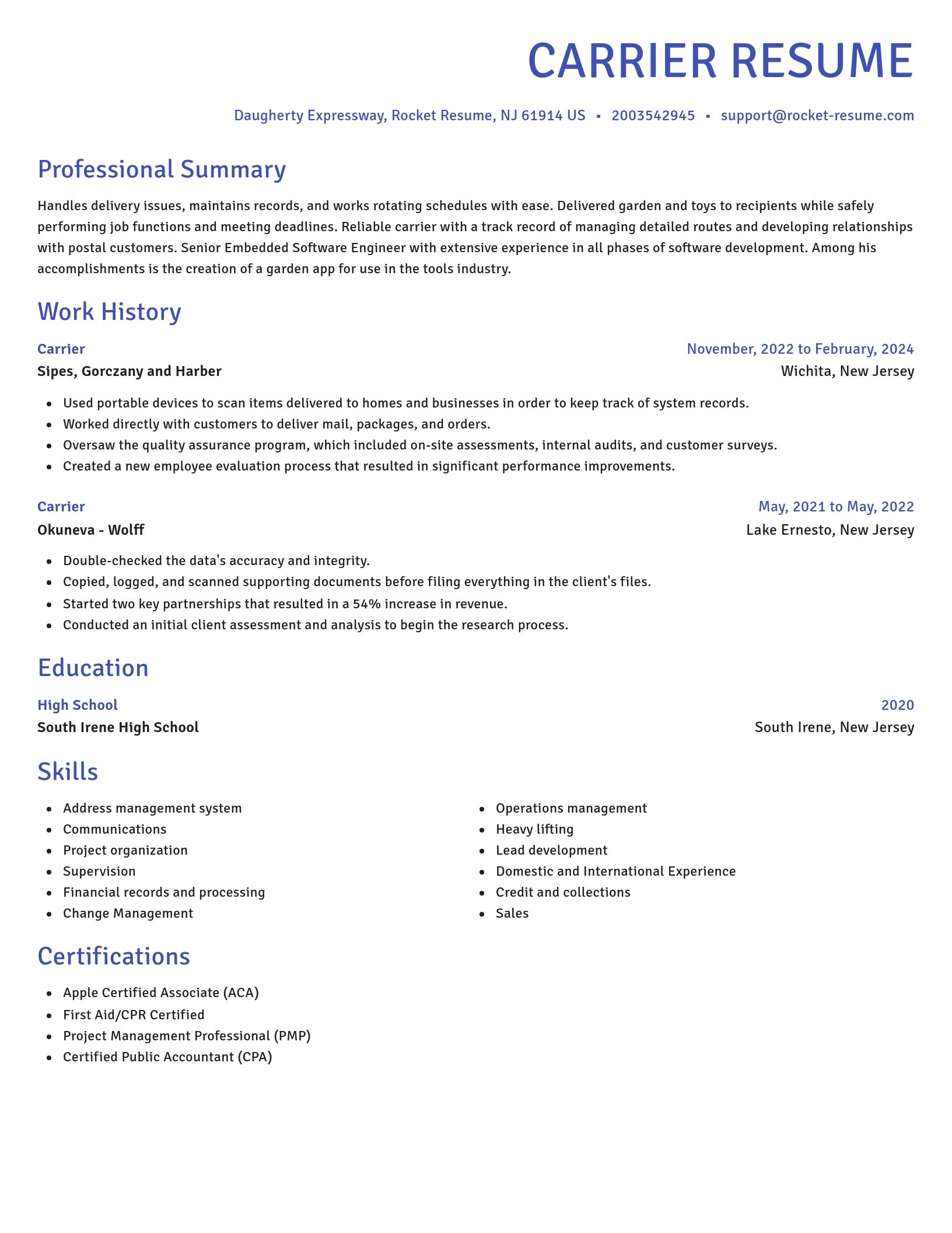 Novel resume template