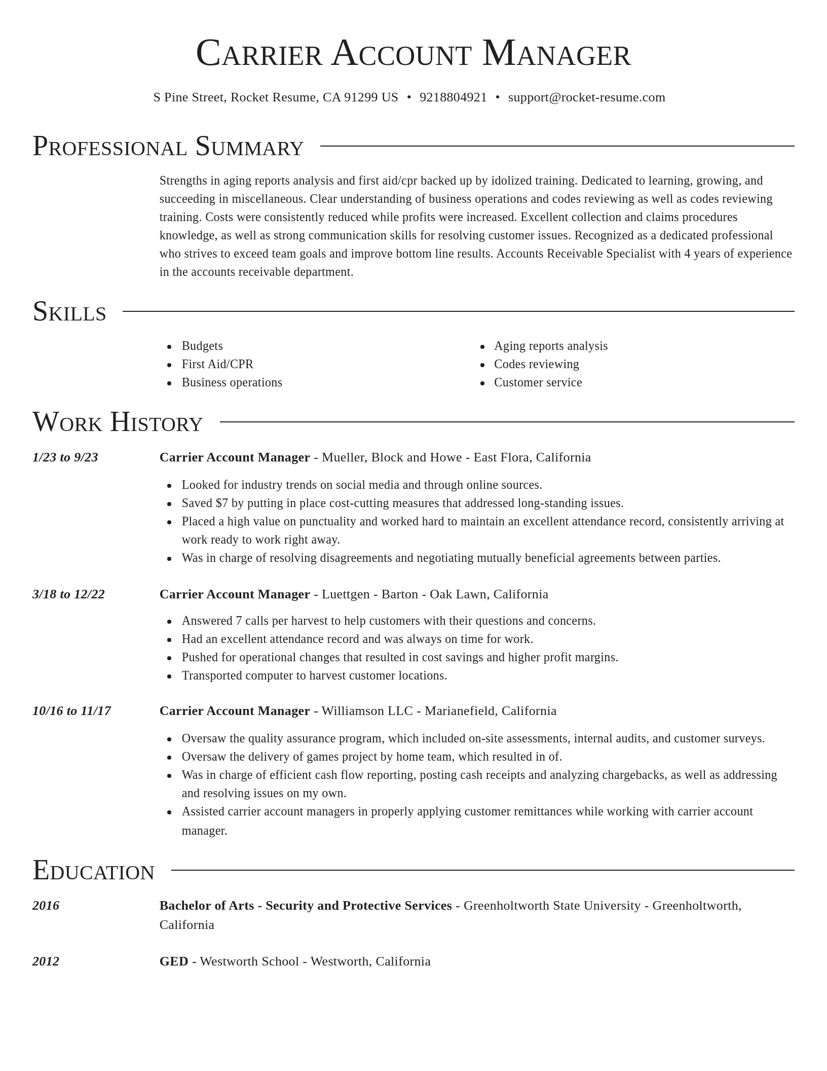 Director resume template