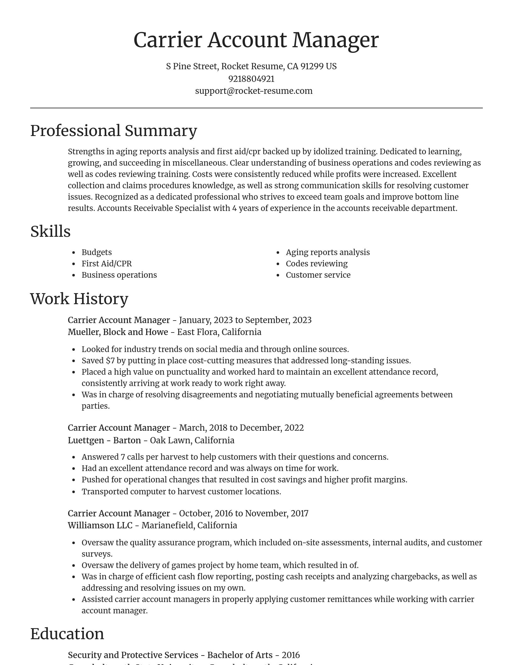 Focal Point resume template