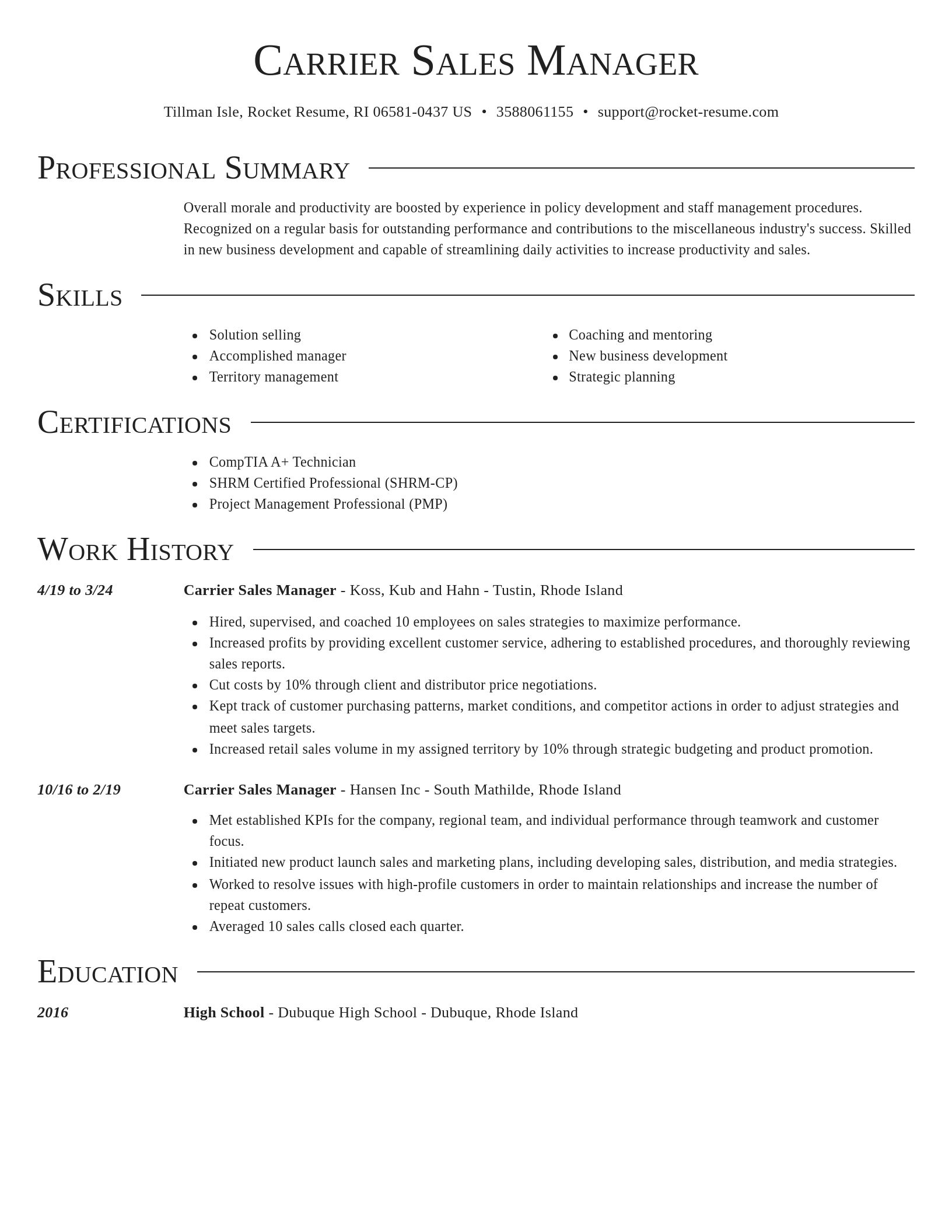 Director resume template