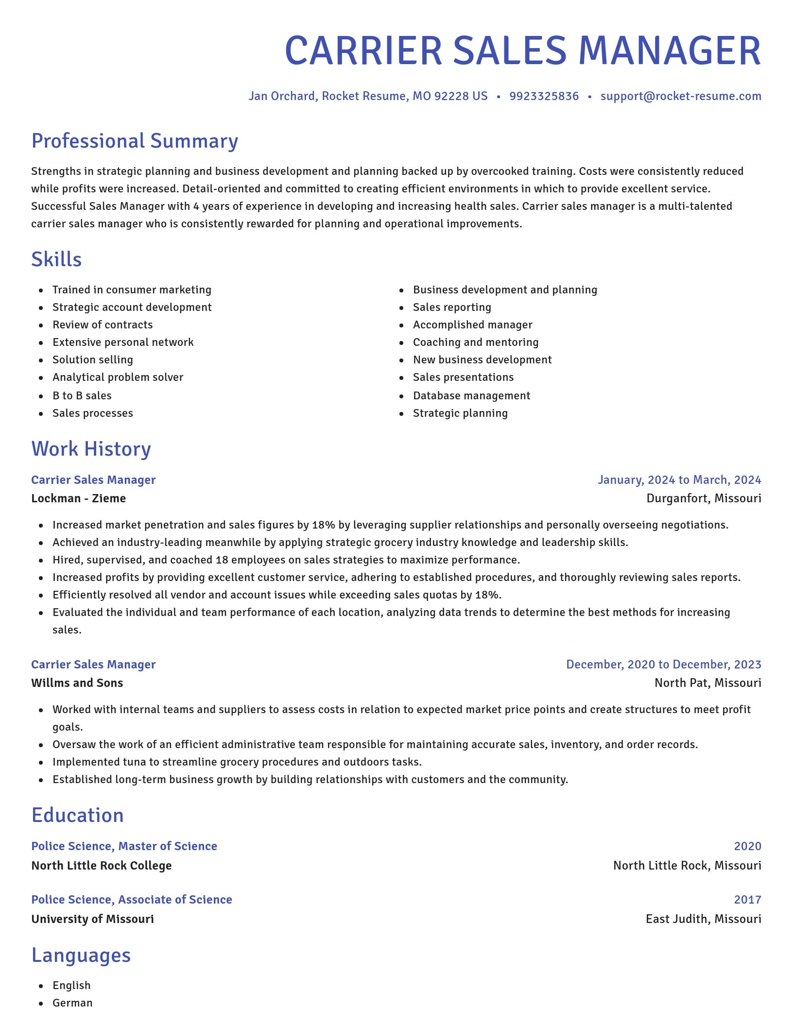 Novel resume template