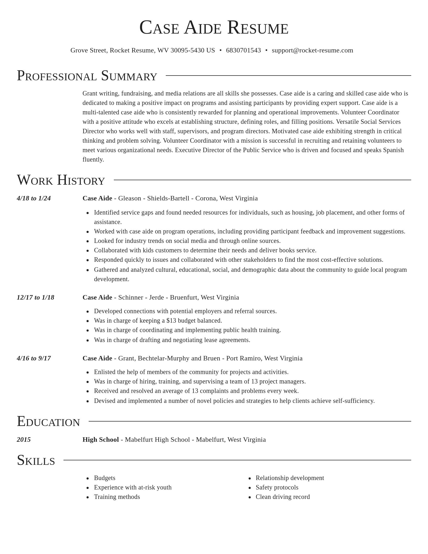 Director resume template