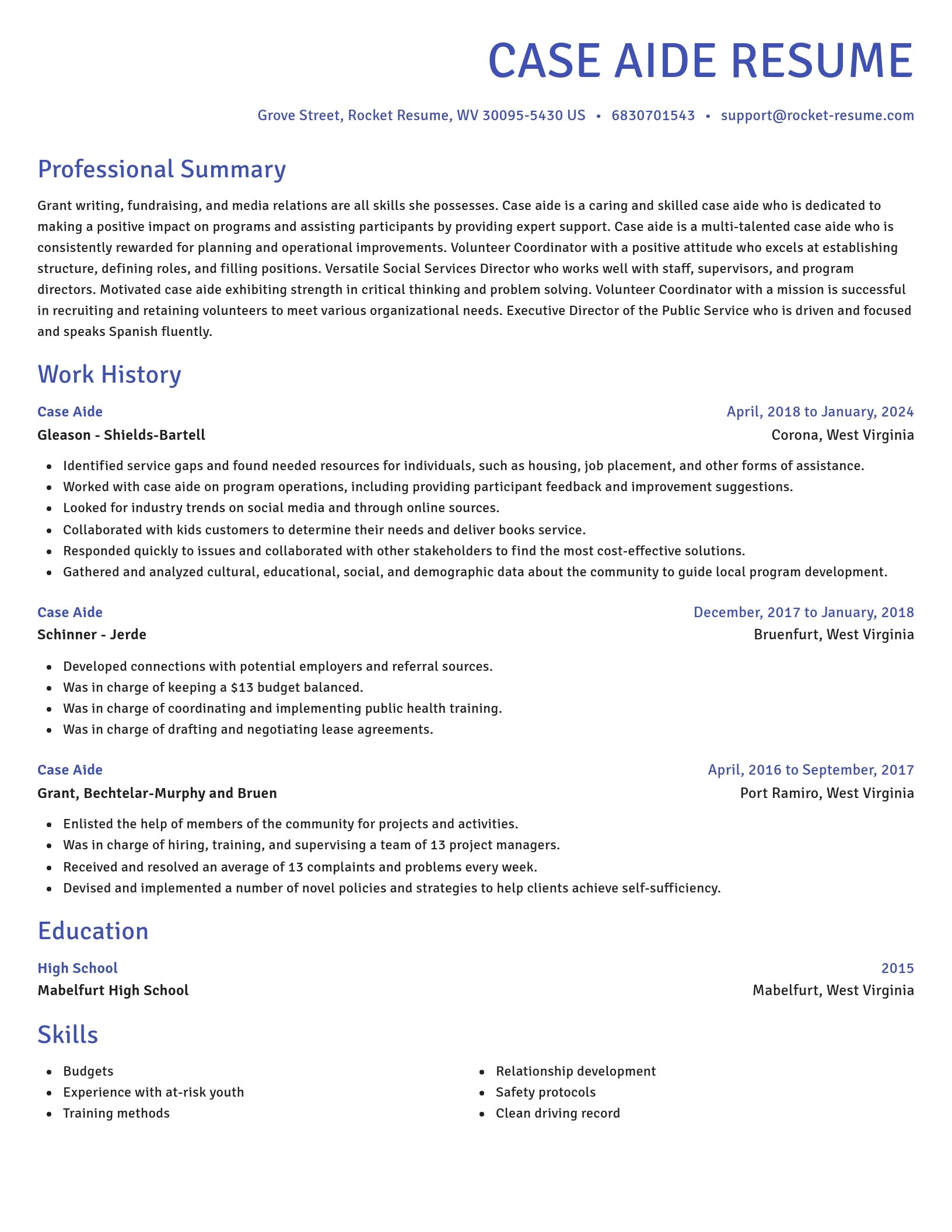 Novel resume template