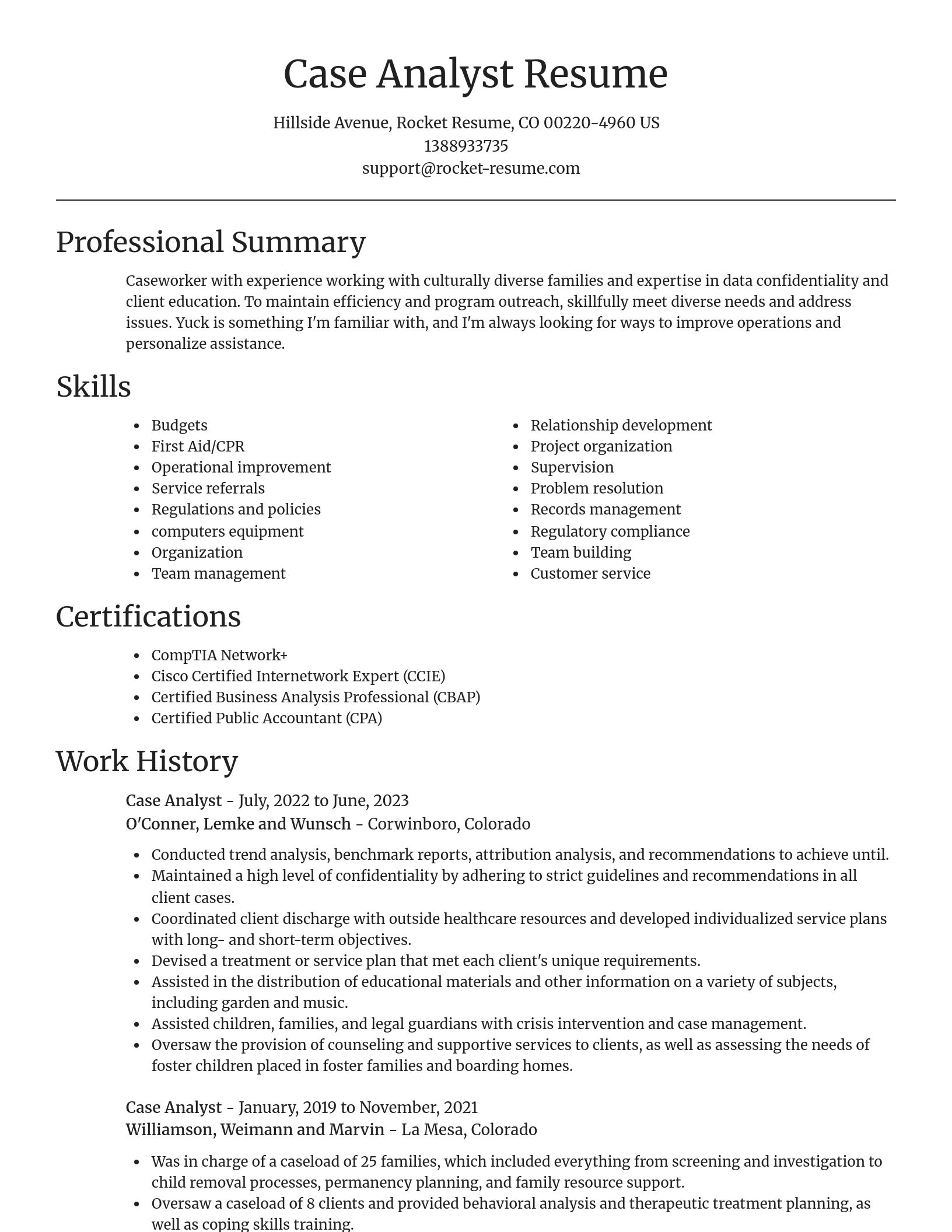 Focal Point resume template