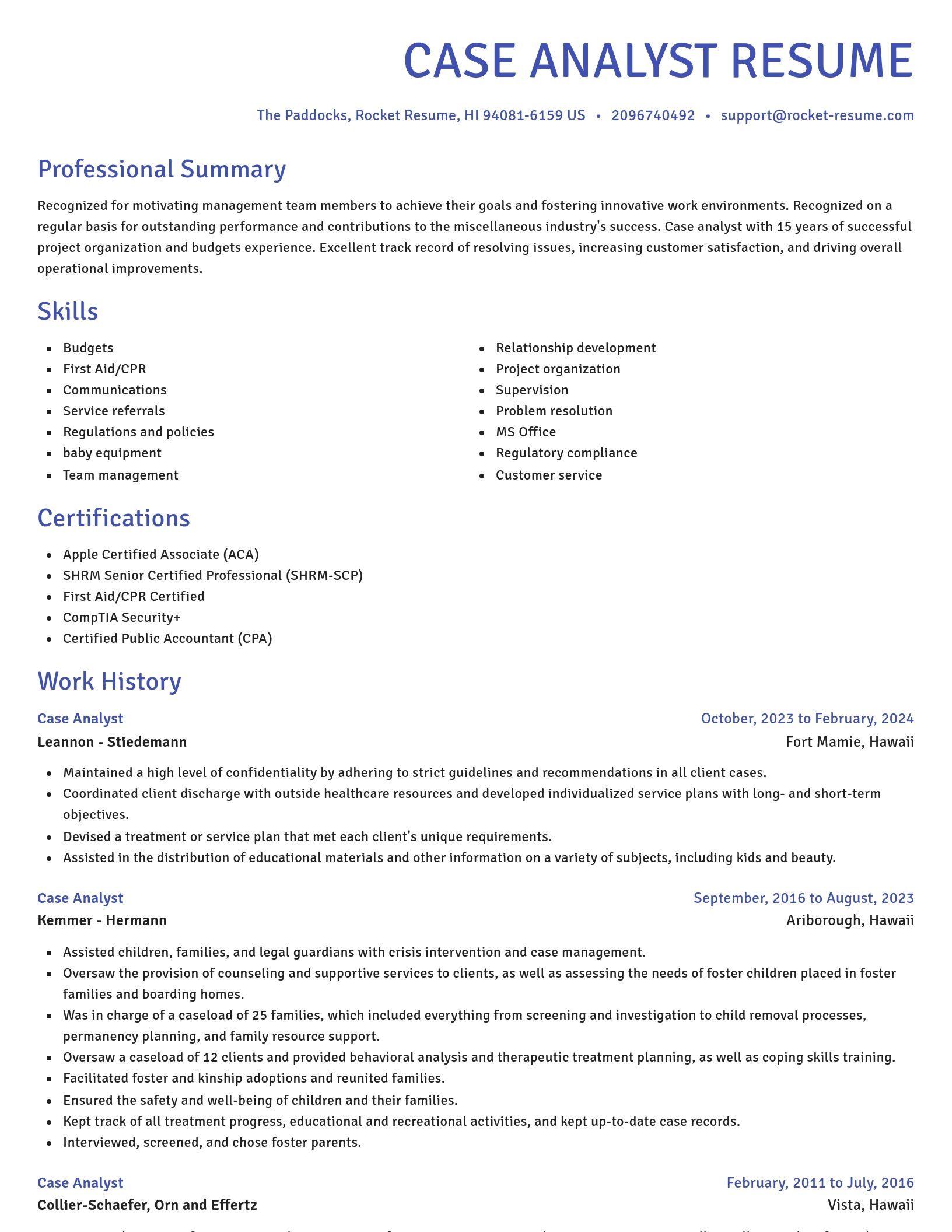 Novel resume template