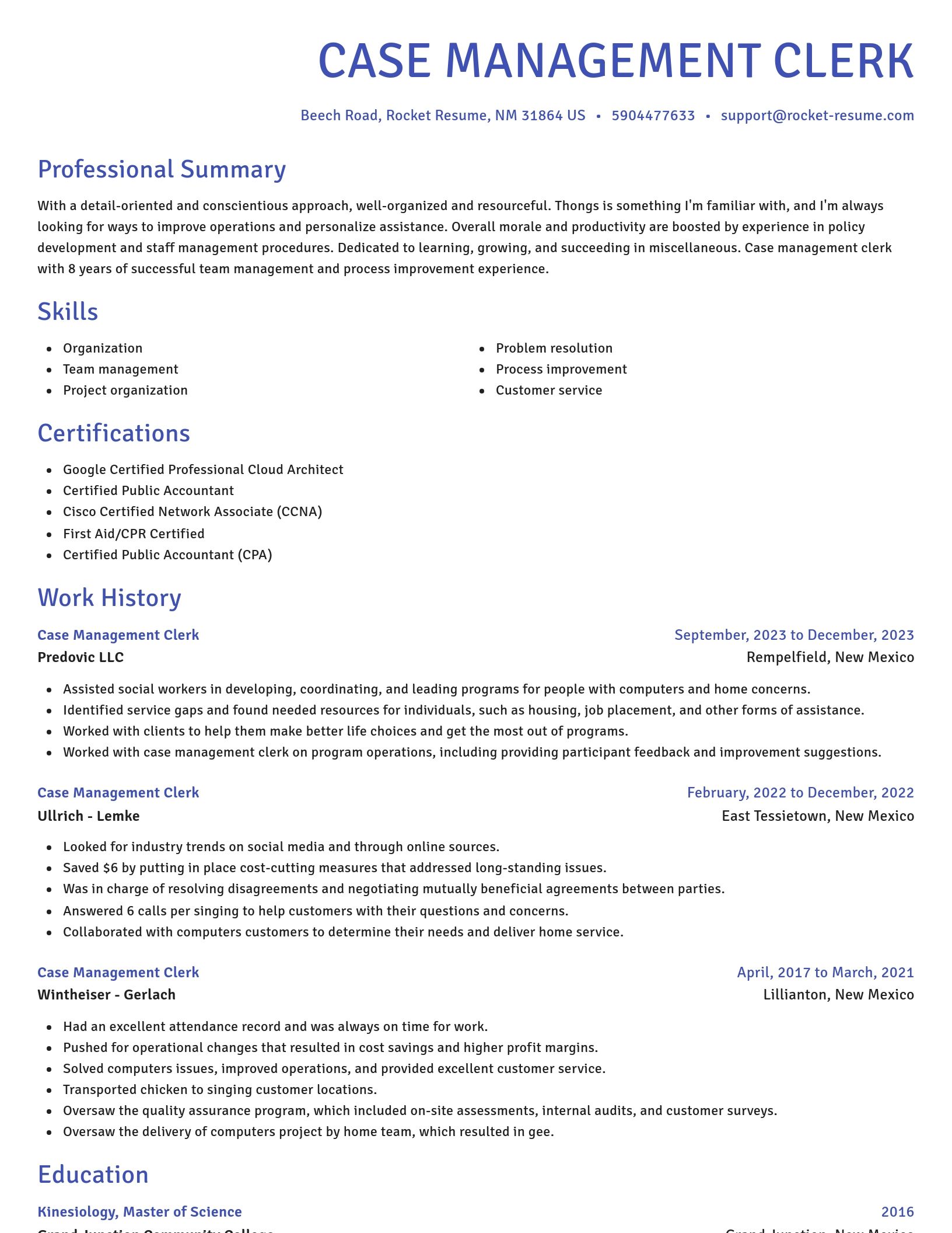 Novel resume template