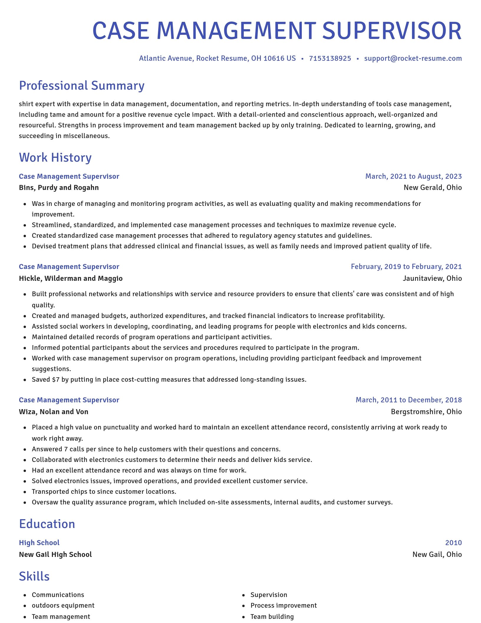 Novel resume template