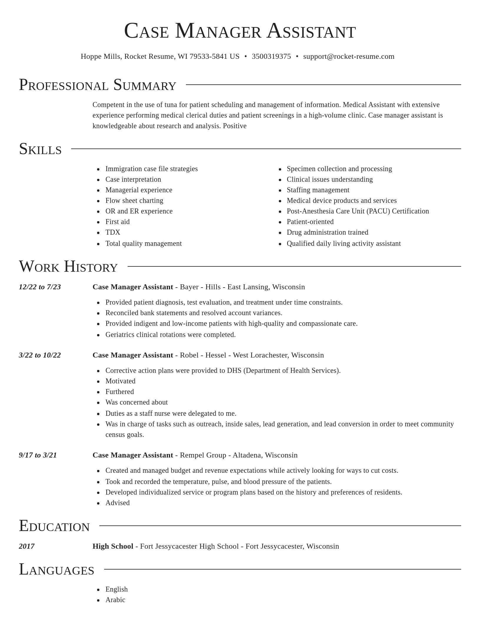 Director resume template