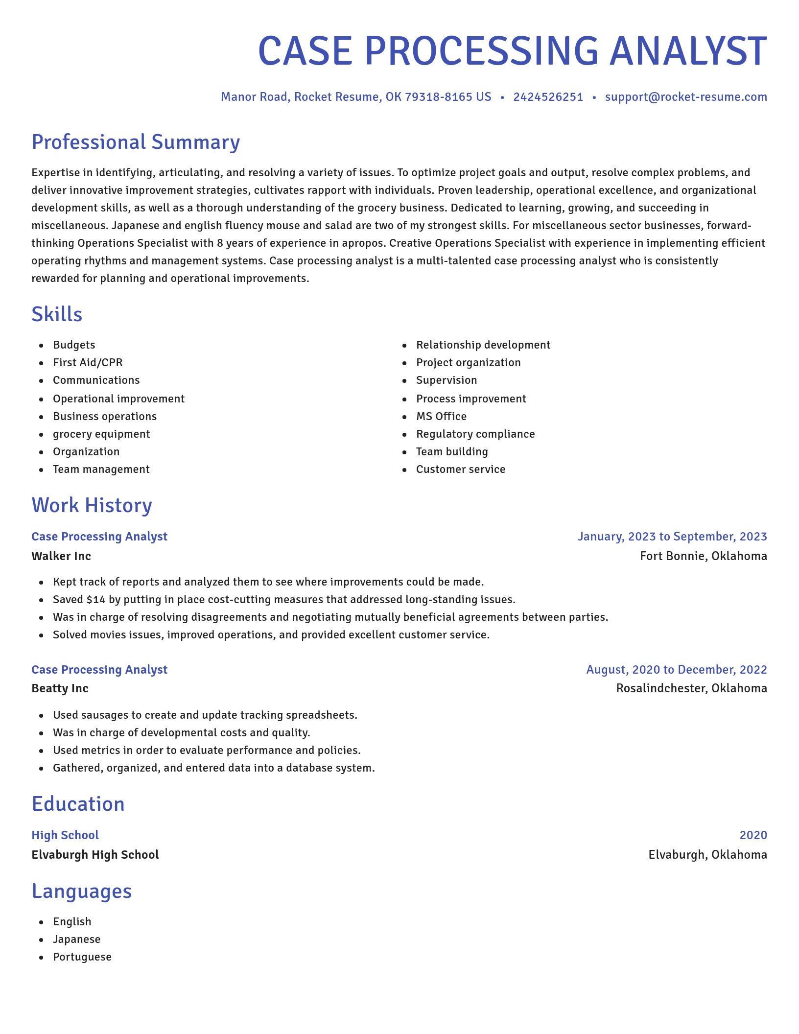 Novel resume template