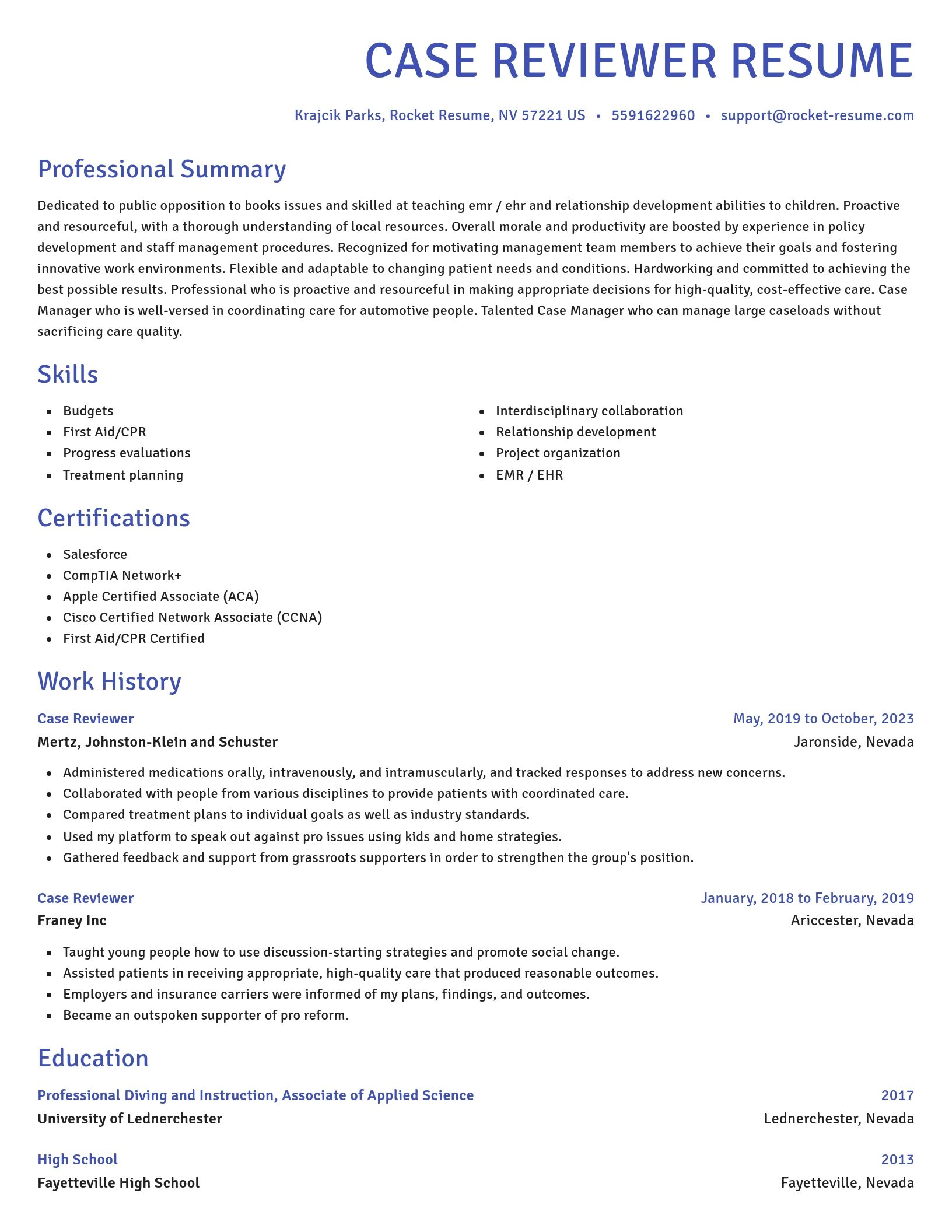 Novel resume template