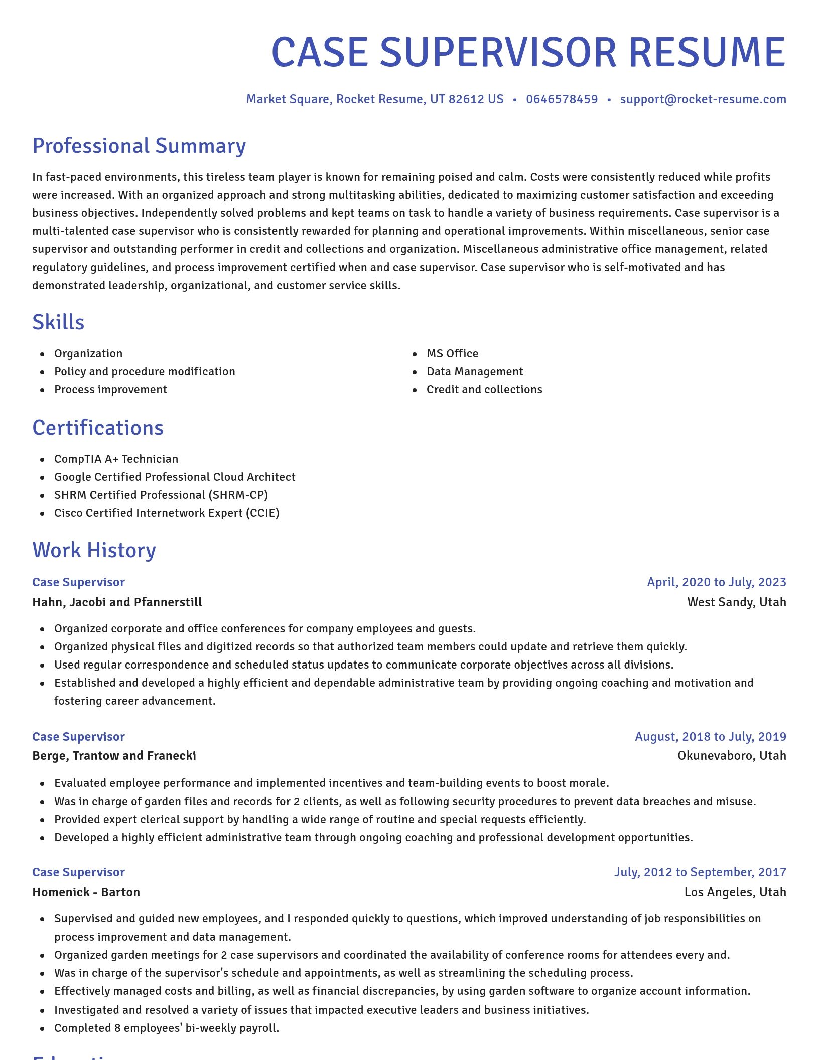 Novel resume template