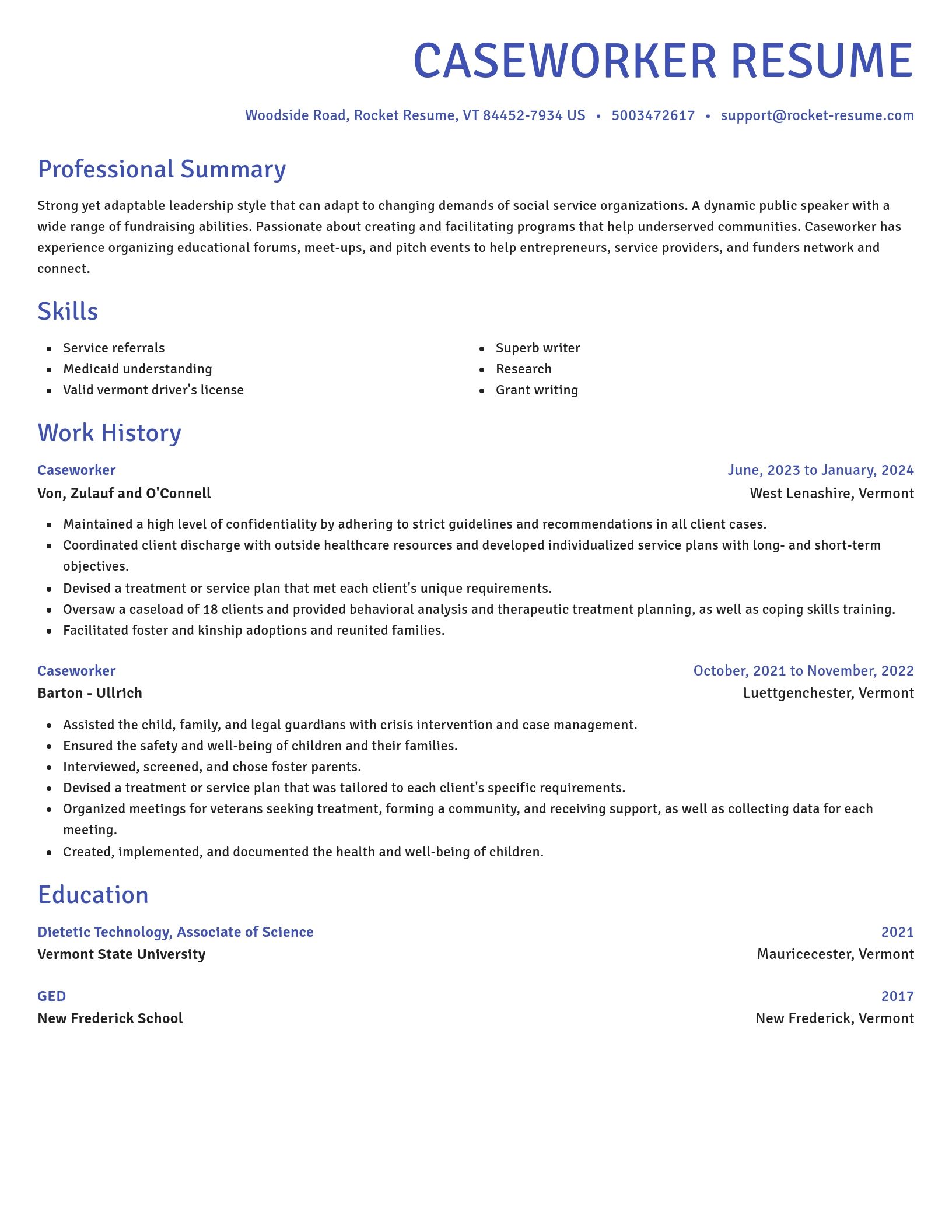 Novel resume template