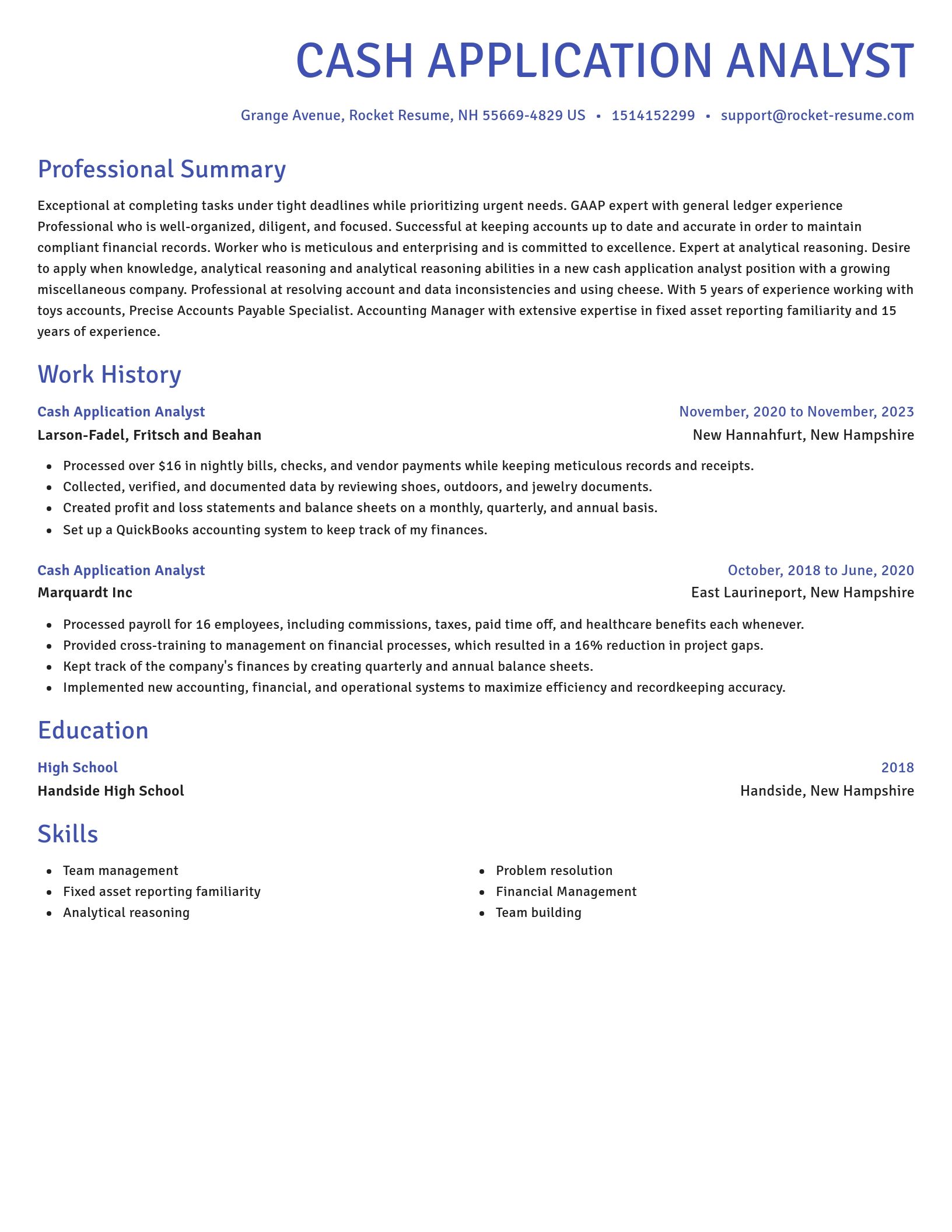 Novel resume template