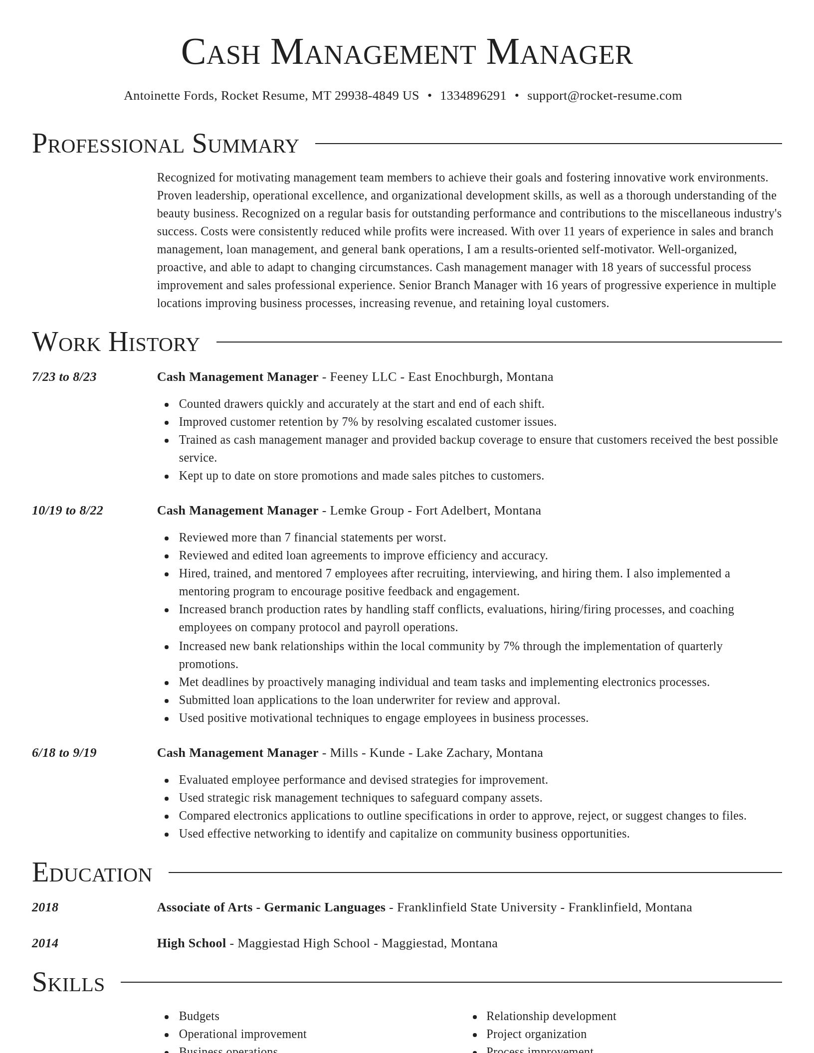 Director resume template