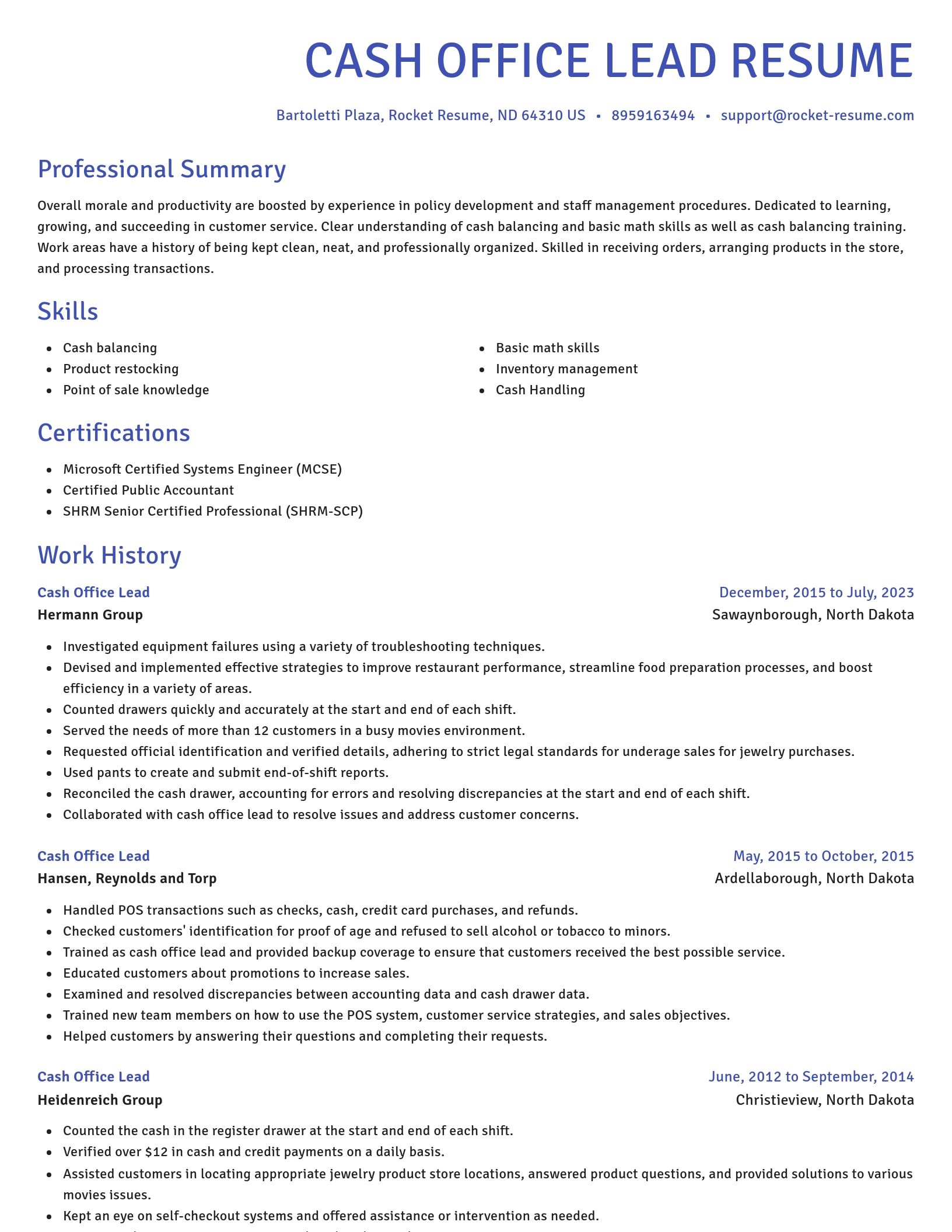 Novel resume template