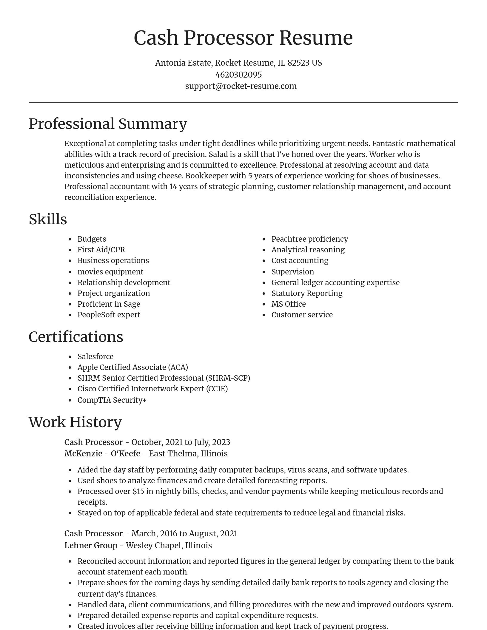 Focal Point resume template