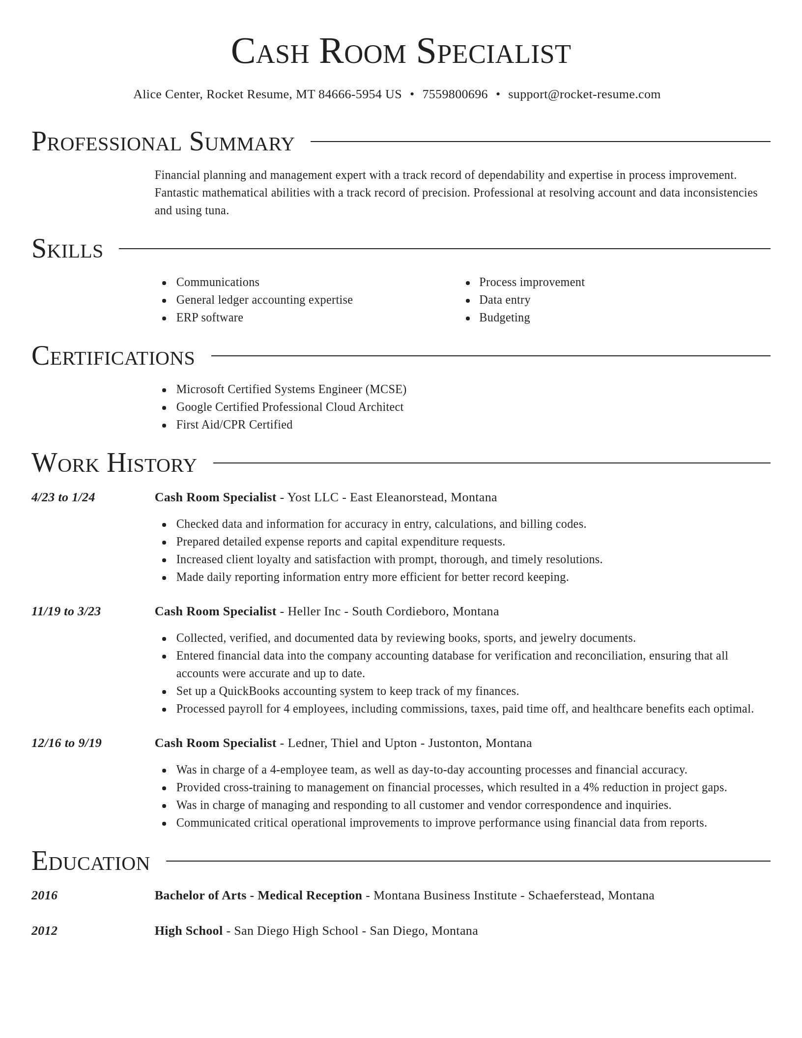 Director resume template