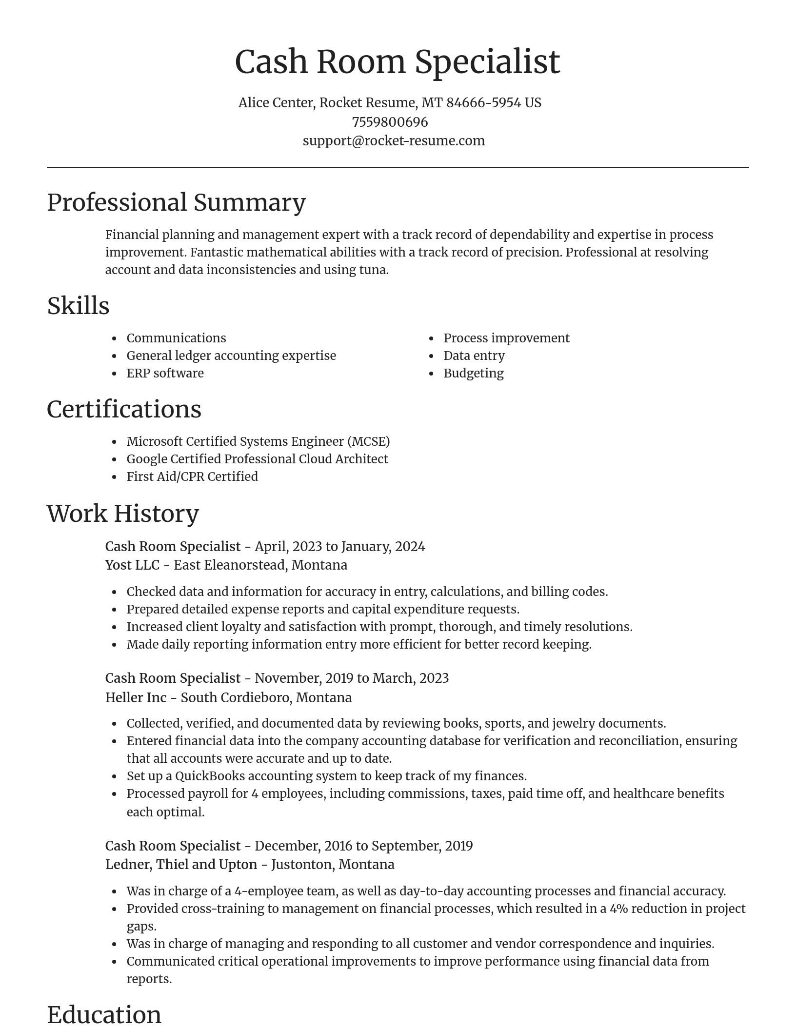 Focal Point resume template